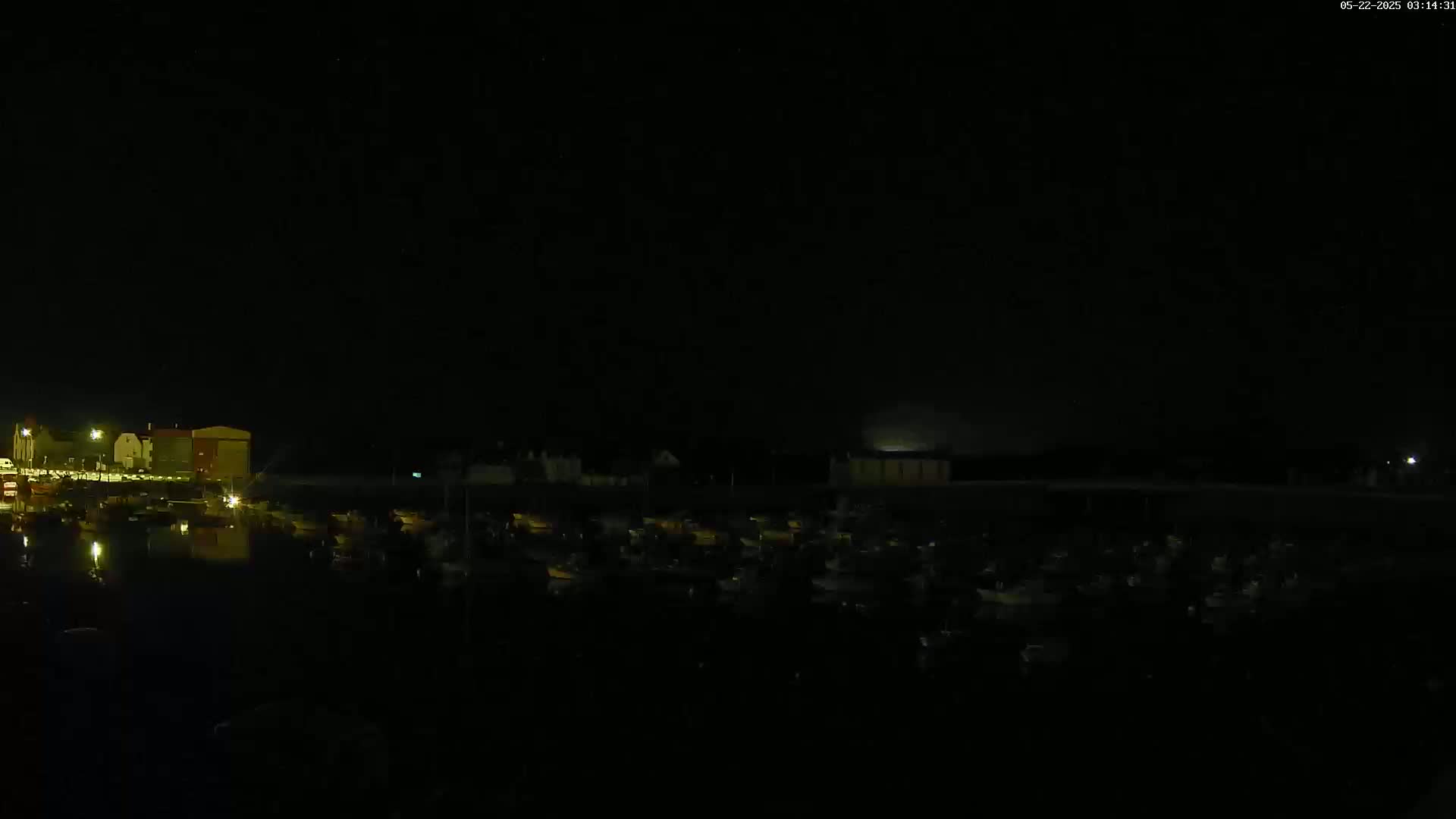 A nighttime view of a harbor filled with boats, illuminated by faint lights, under a dark sky.