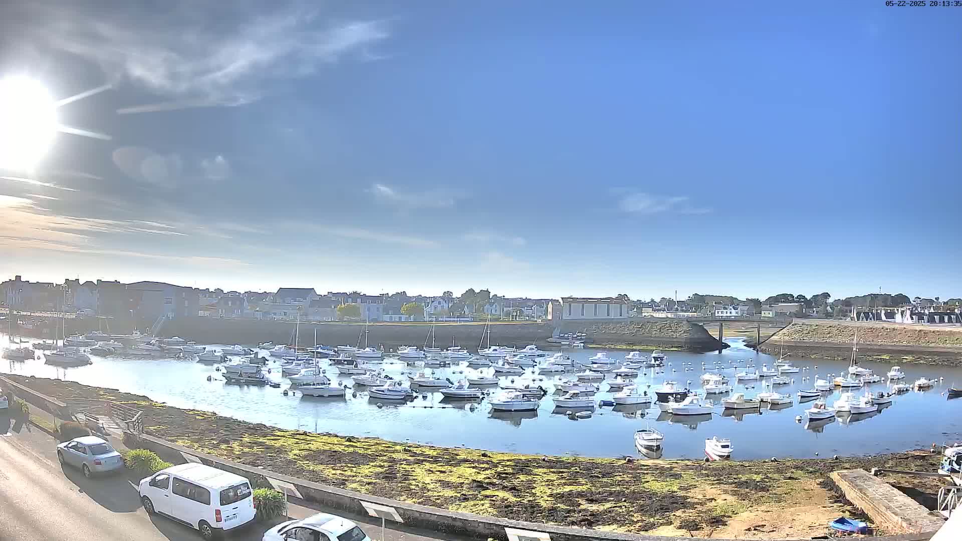 A sunny day reveals a harbor filled with numerous small white boats, situated near a town with low-rise buildings.