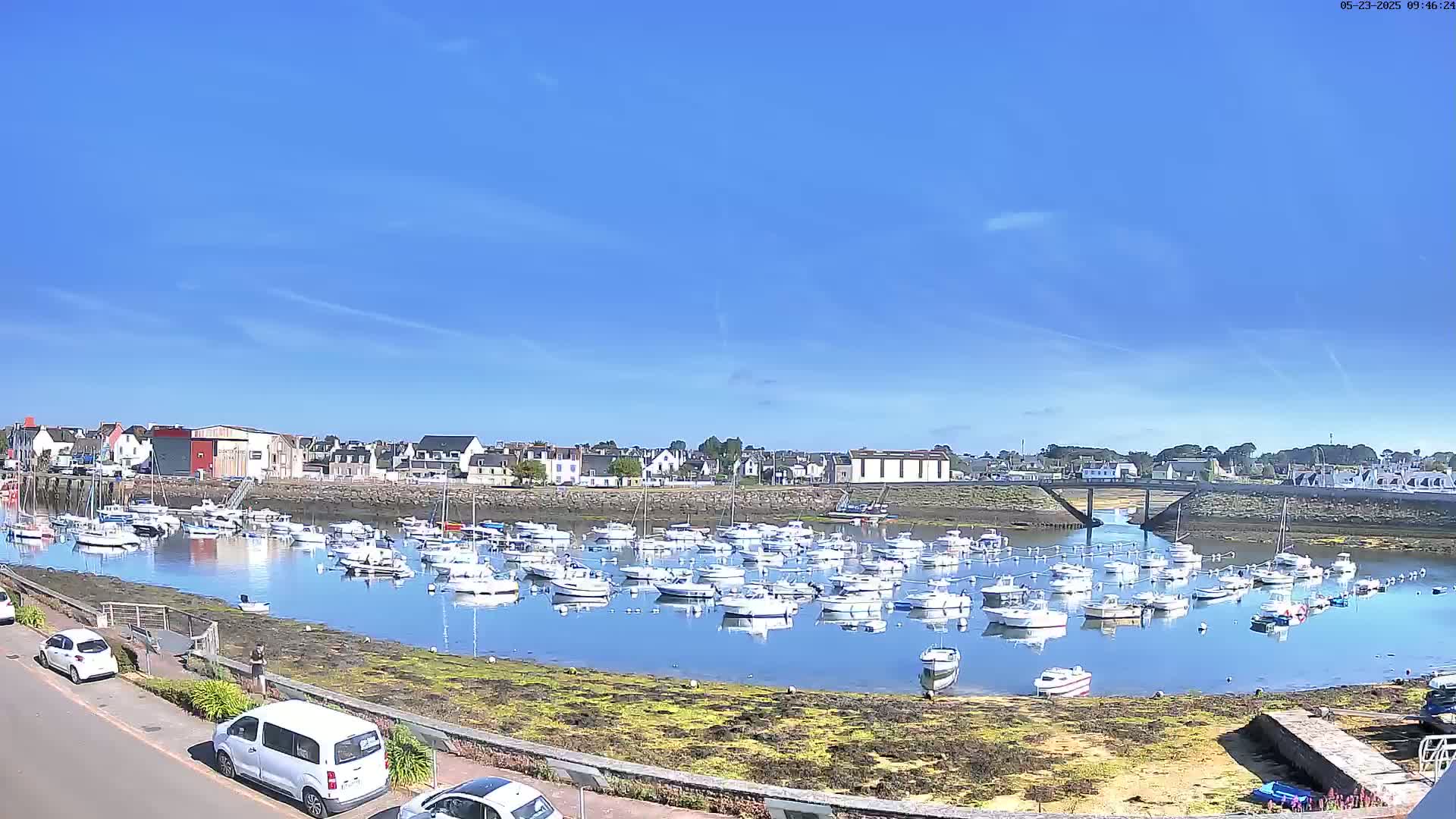 Under a clear blue sky, a calm harbor filled with numerous small boats is nestled next to a town.