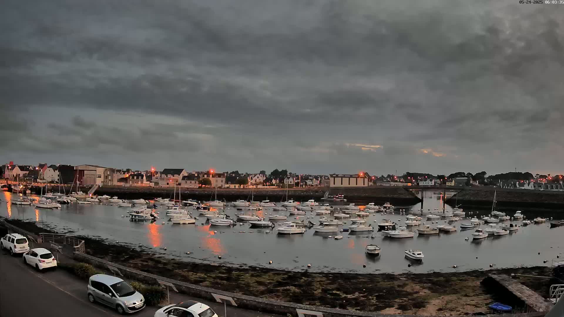 A harbor filled with numerous small boats is situated near a town under a cloudy, dark sky.