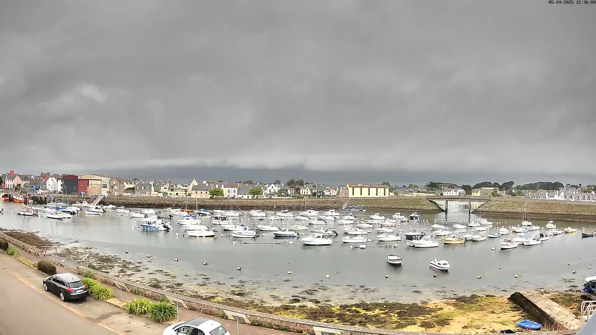 A harbor filled with numerous small boats is situated under a heavily overcast sky.