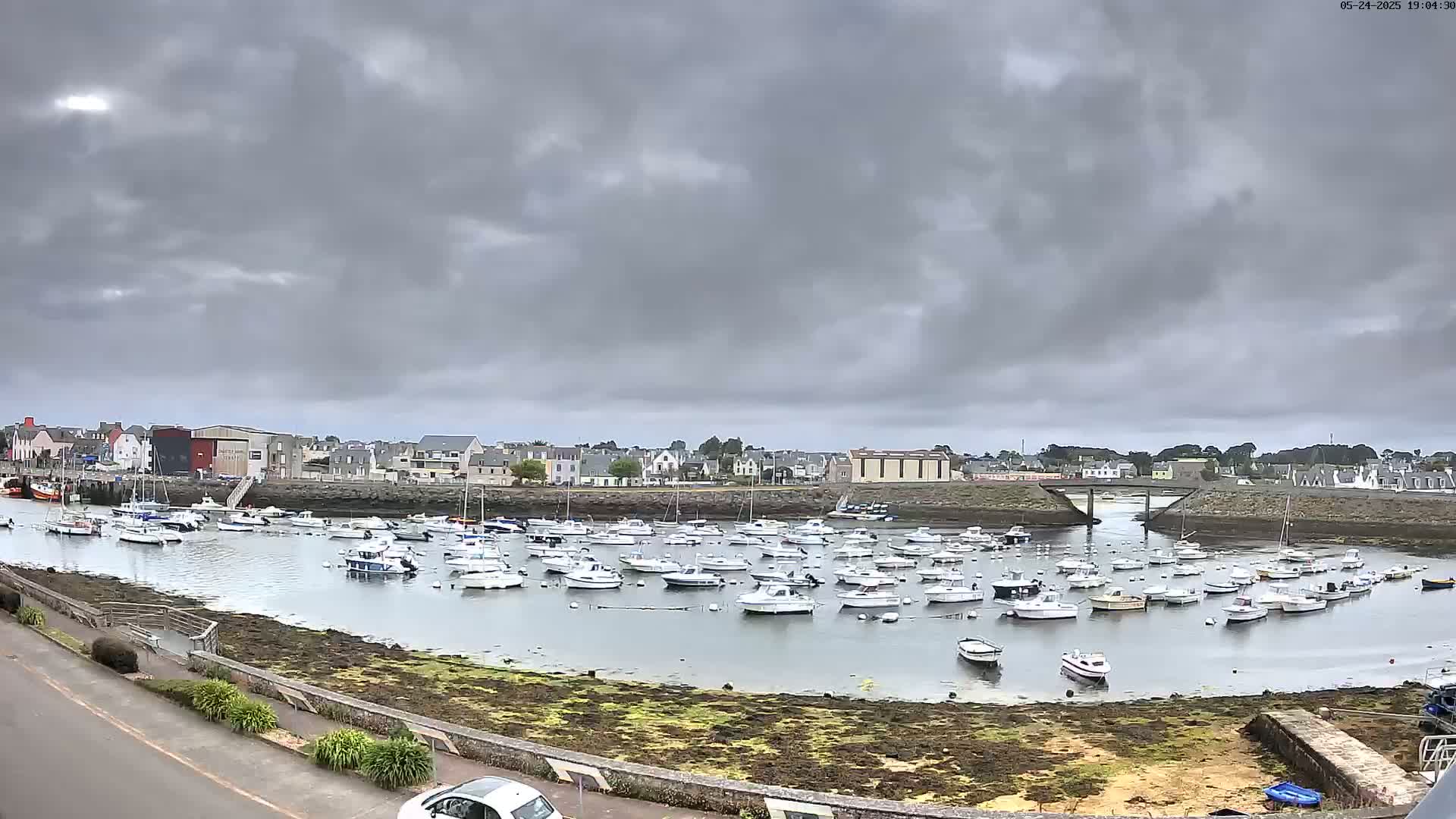 A harbor filled with numerous small boats is situated under a cloudy sky, next to a town.