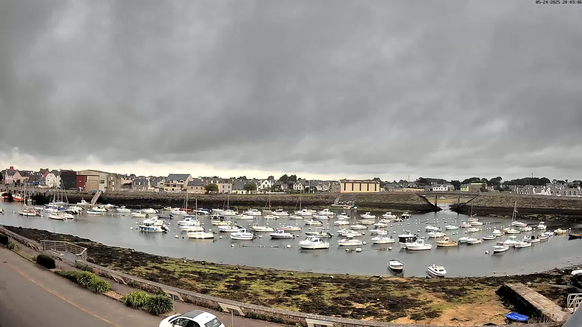 A harbor filled with numerous small boats is situated under an overcast sky.