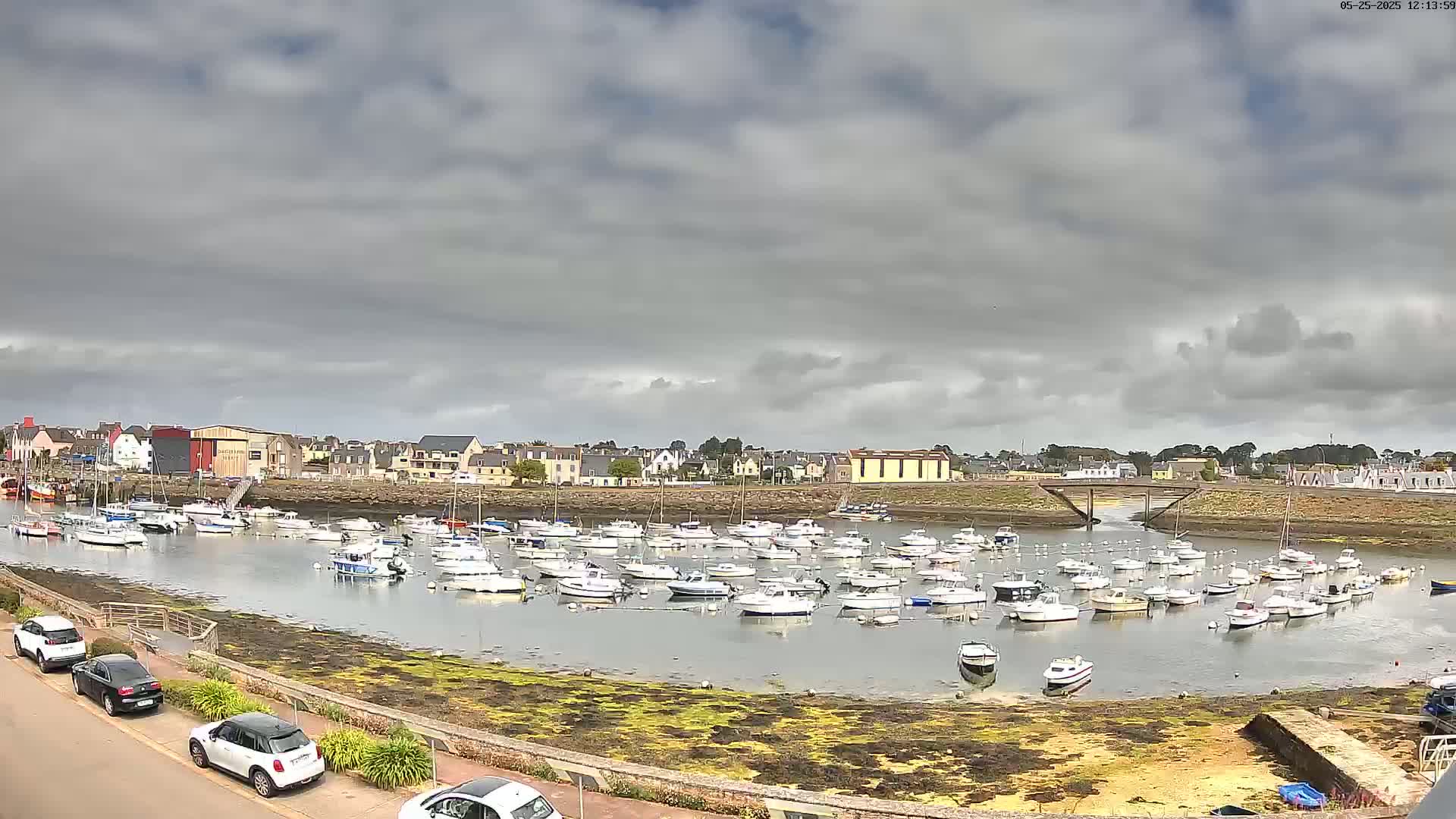 Many small motorboats are moored in a calm harbor under a cloudy sky, with a town visible in the background.