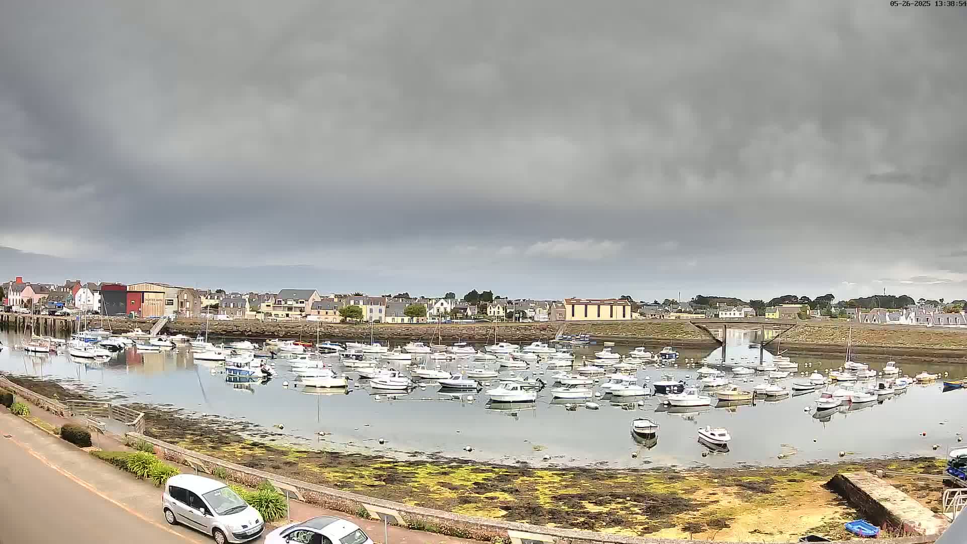 A harbor filled with numerous small boats sits under a cloudy sky next to a town.