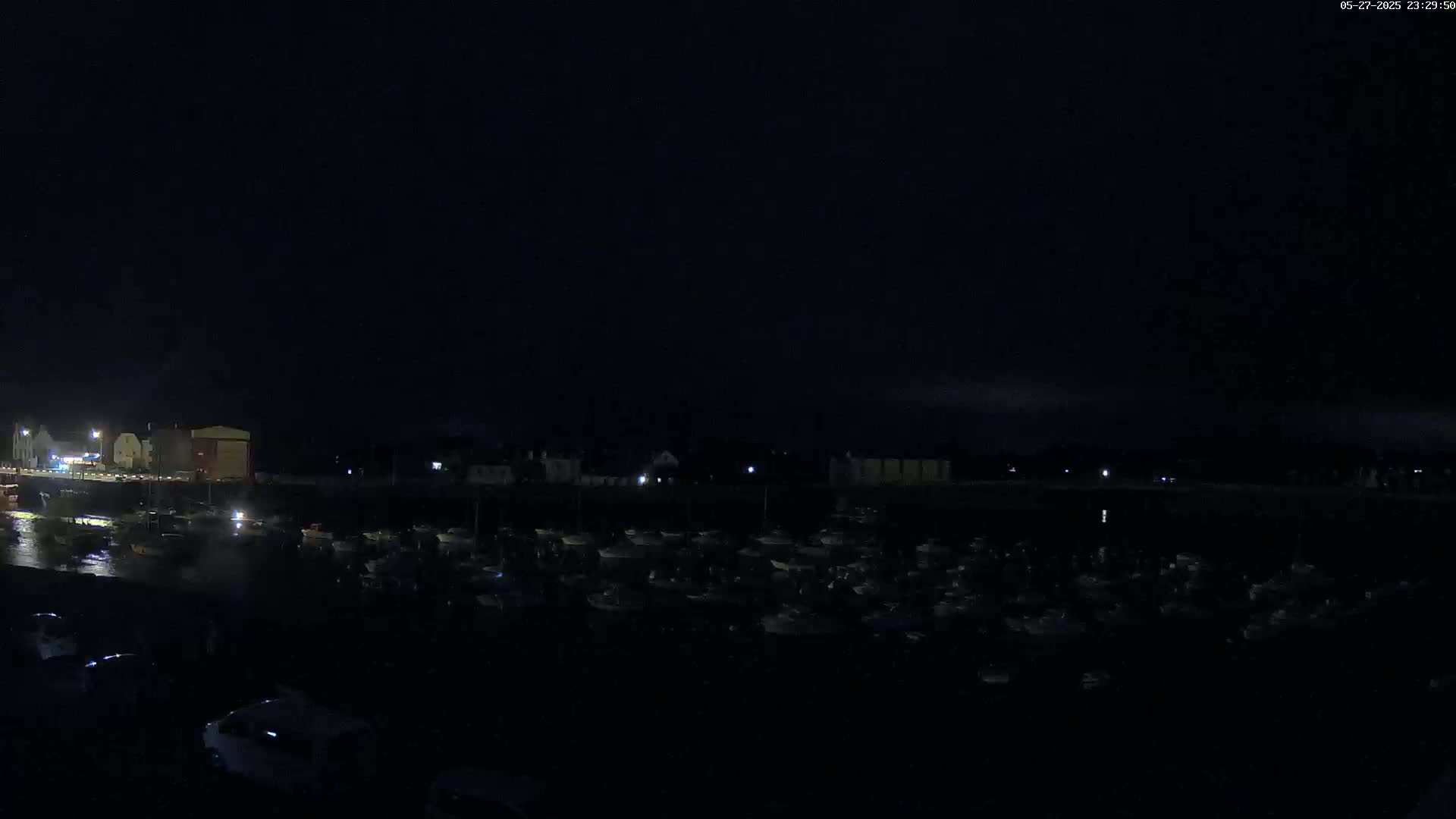 A nighttime view of a harbor filled with many boats, under a dark, possibly cloudy sky.