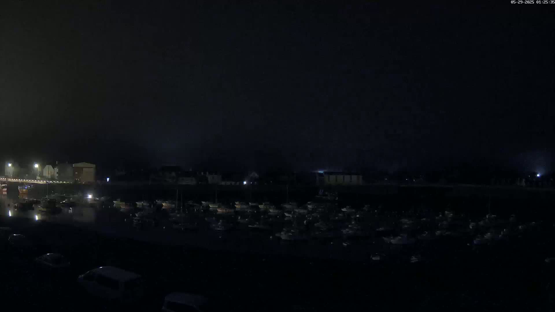 A dark, nighttime scene shows a harbor filled with numerous boats under a foggy sky.