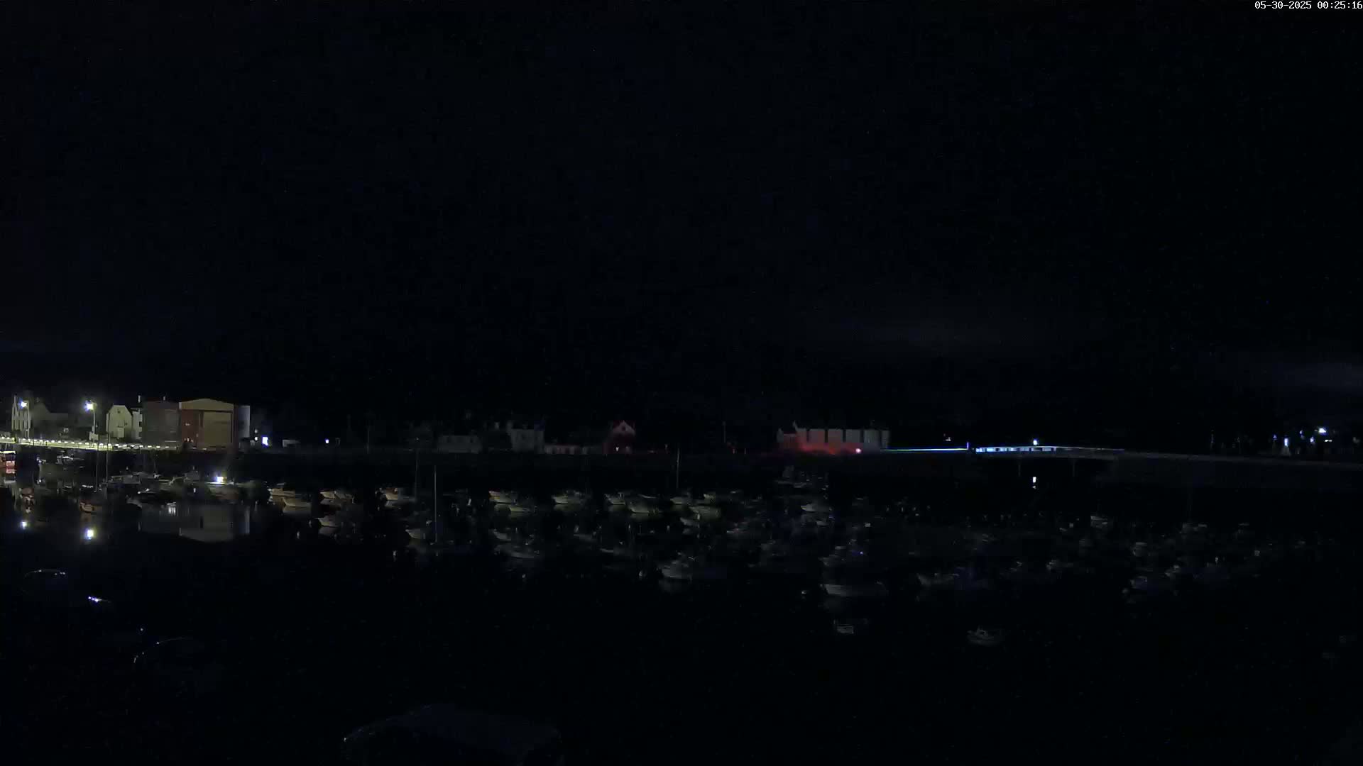 A dark nighttime scene shows a harbor filled with numerous boats, and buildings along the shoreline under a clear sky.