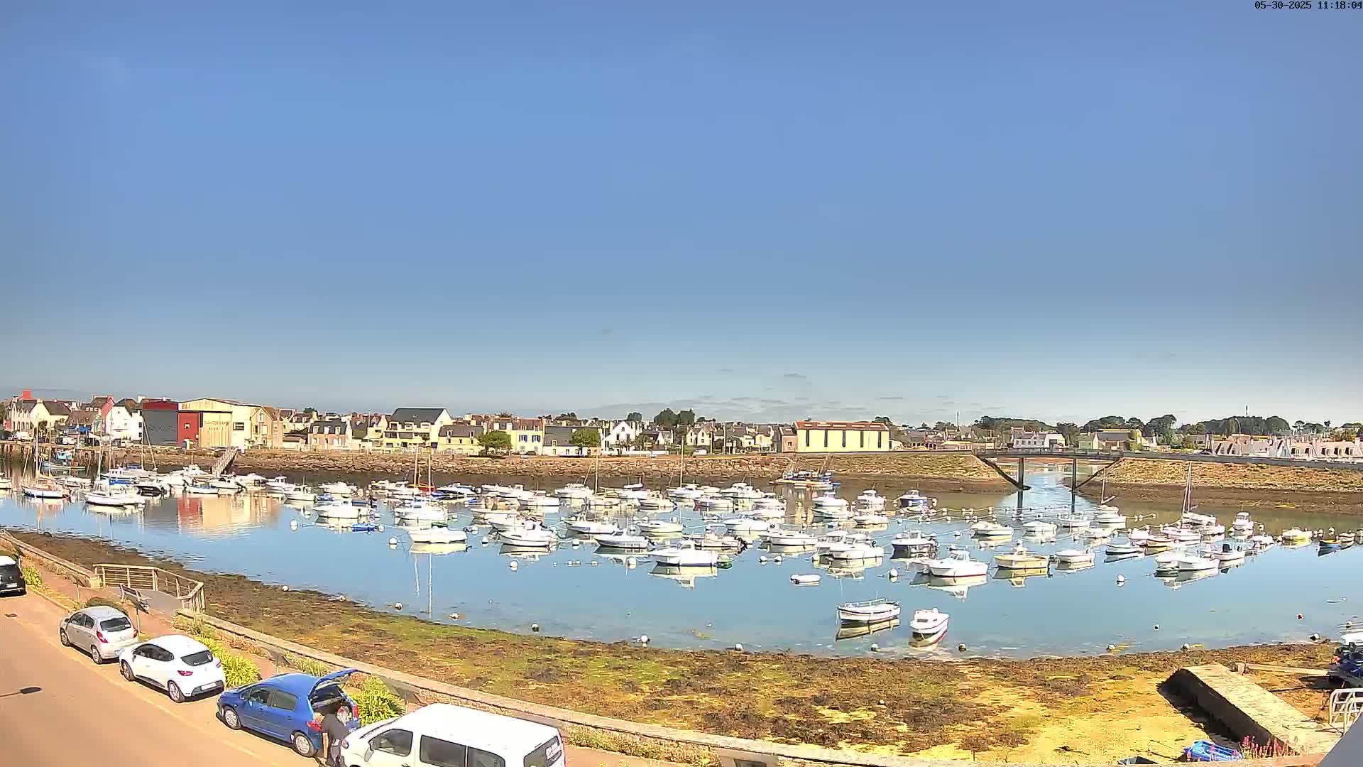 Under a clear blue sky, a calm harbor filled with numerous small boats is situated in front of a town with low-rise buildings.