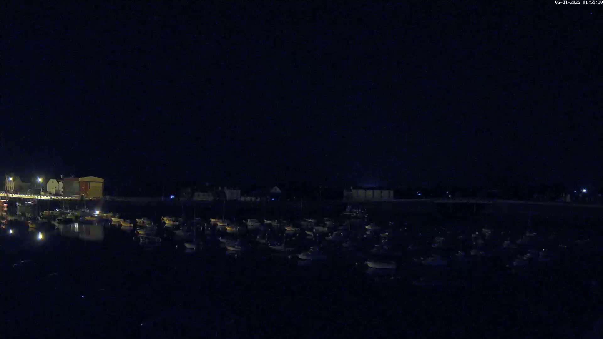 A nighttime view of a harbor filled with numerous boats, illuminated by faint lights, under a dark, clear sky.