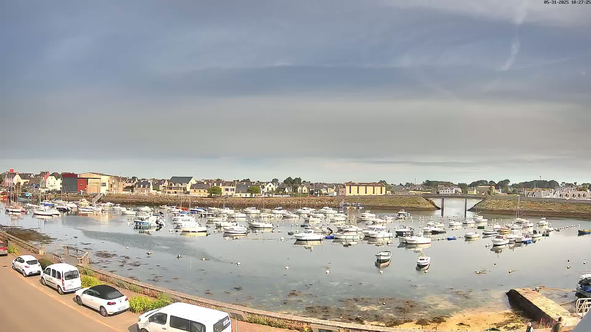 A calm harbor filled with numerous boats is situated in front of a town under a mostly cloudy sky.