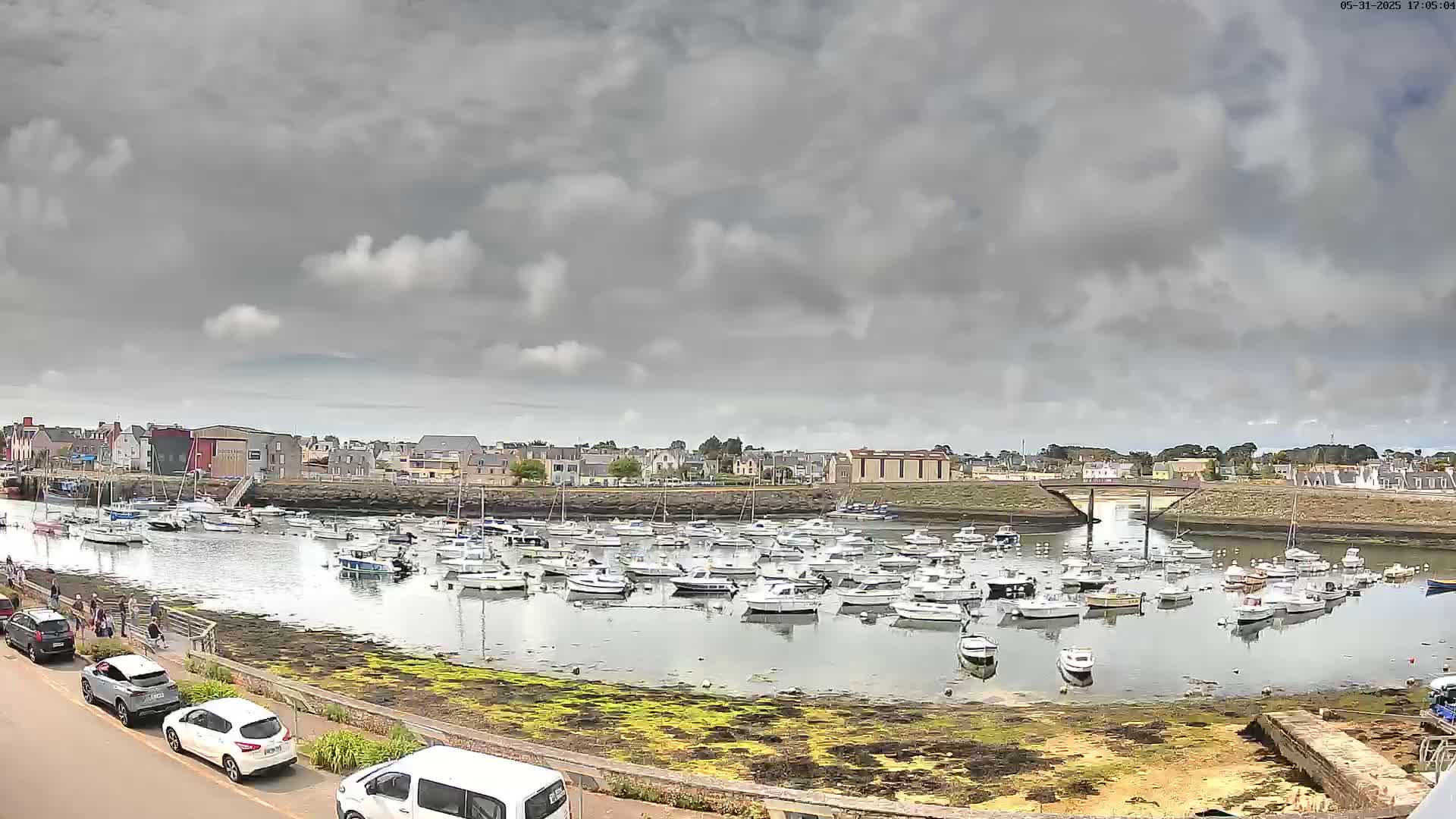 A harbor filled with numerous small boats under a cloudy sky.