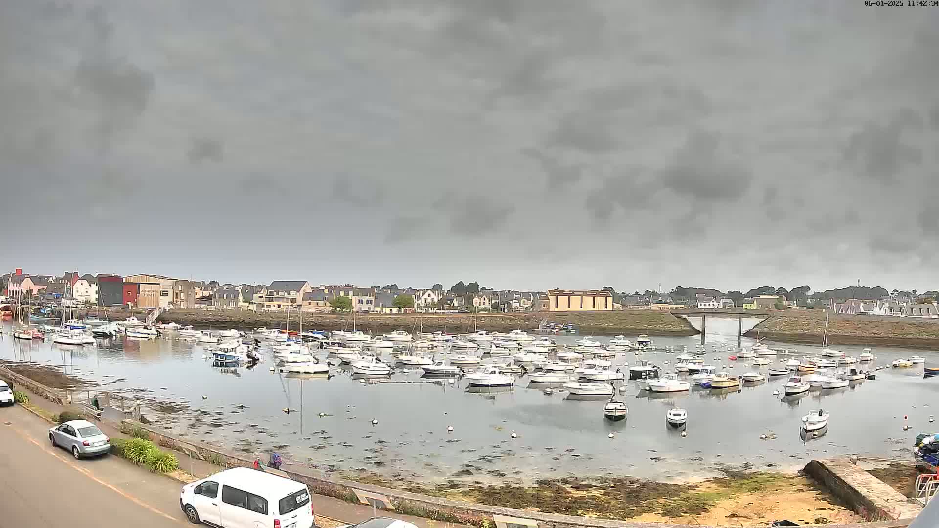 A harbor filled with numerous small boats is seen under a gray, overcast sky.