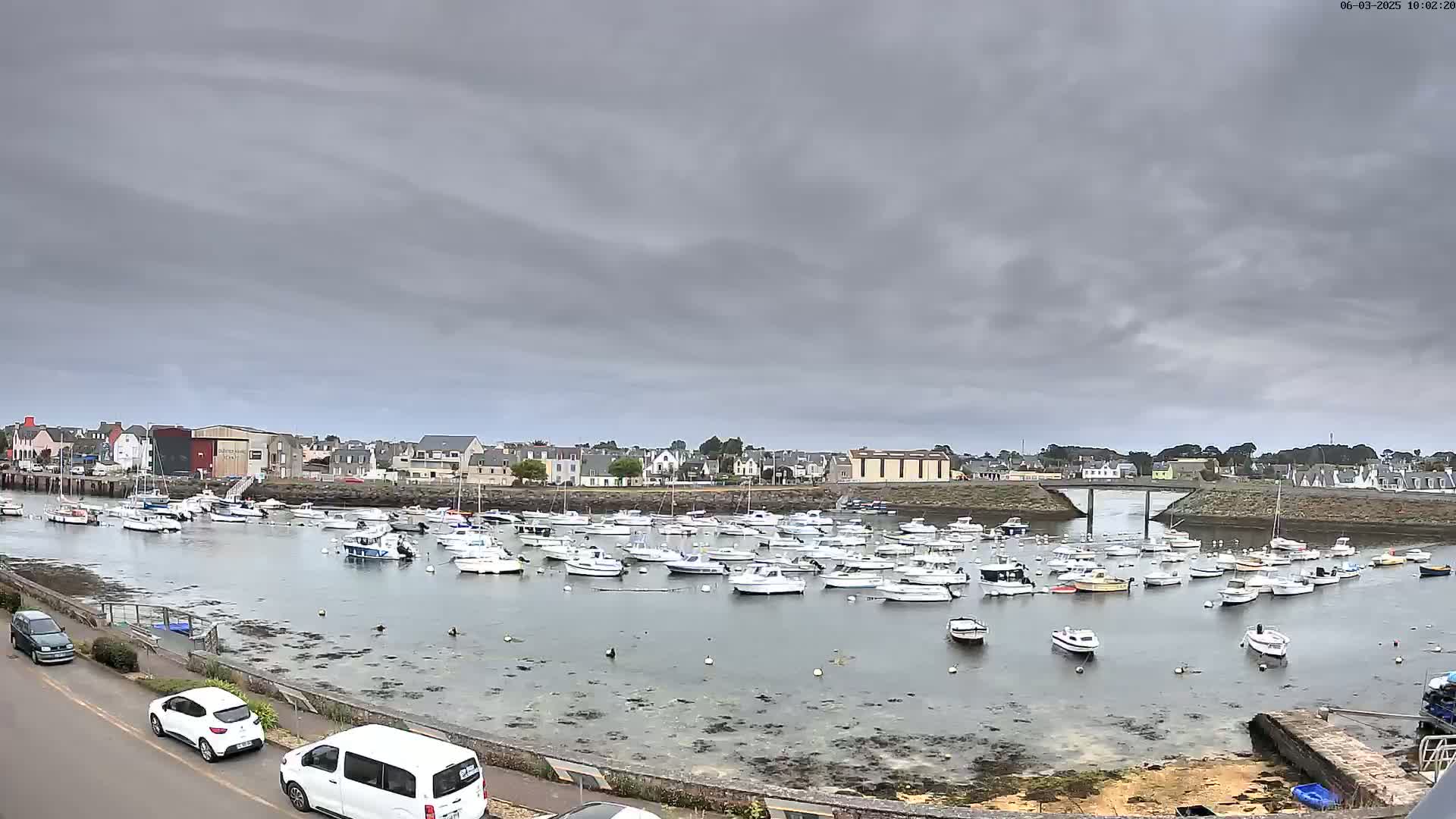 A harbor filled with numerous boats is situated in front of a town under a cloudy sky.