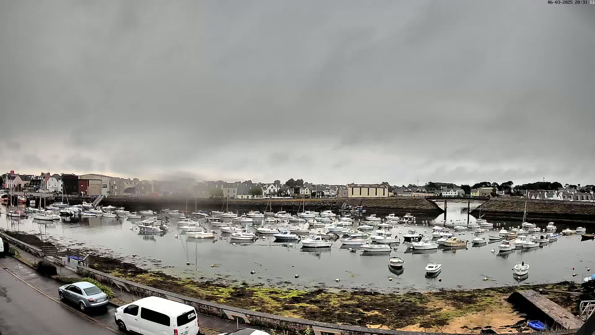 Numerous boats are moored in a harbor under an overcast sky.