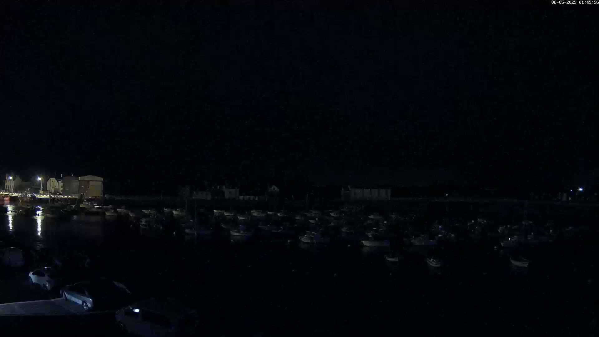 A nighttime harbor scene shows many boats moored in the dark water, with dimly lit buildings visible along the shore under a clear, dark sky.
