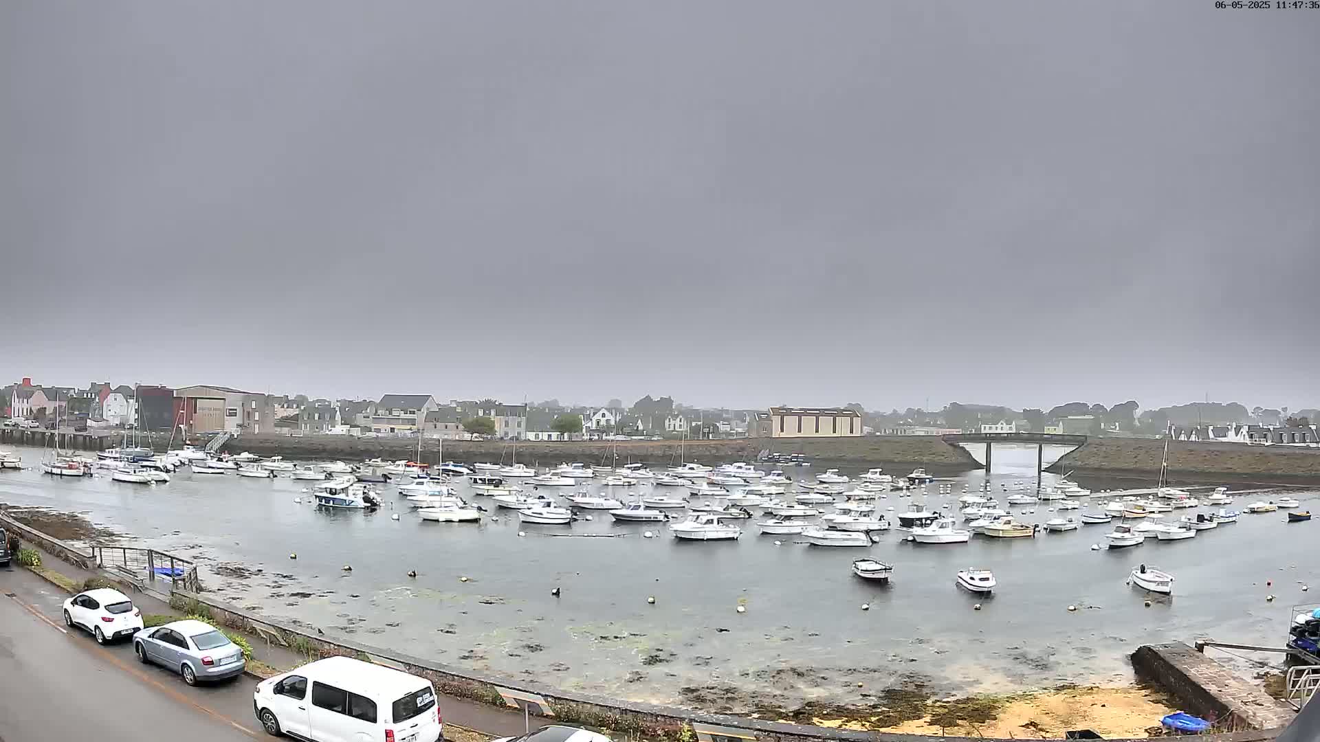 A harbor filled with numerous small boats is seen under an overcast sky.