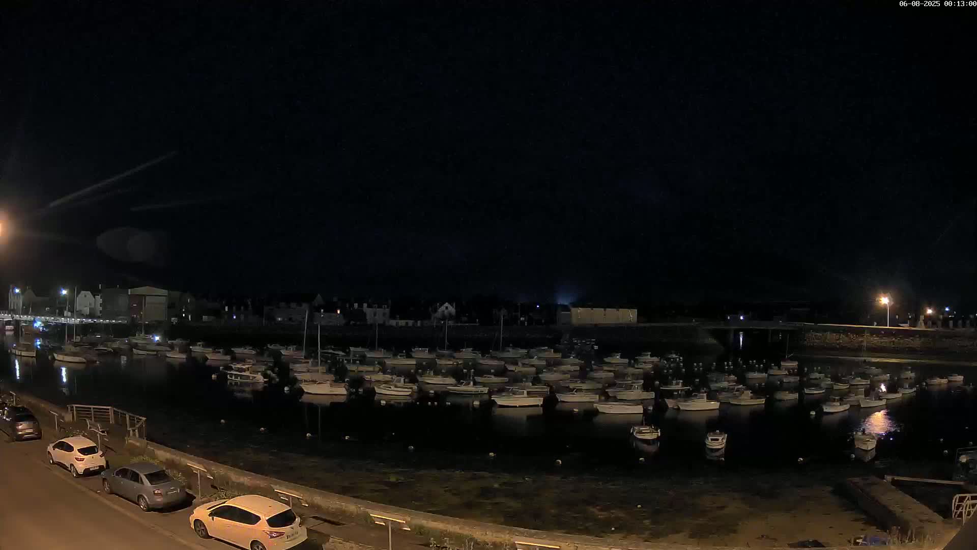 A nighttime view of a harbor filled with numerous small boats, under a dark sky.