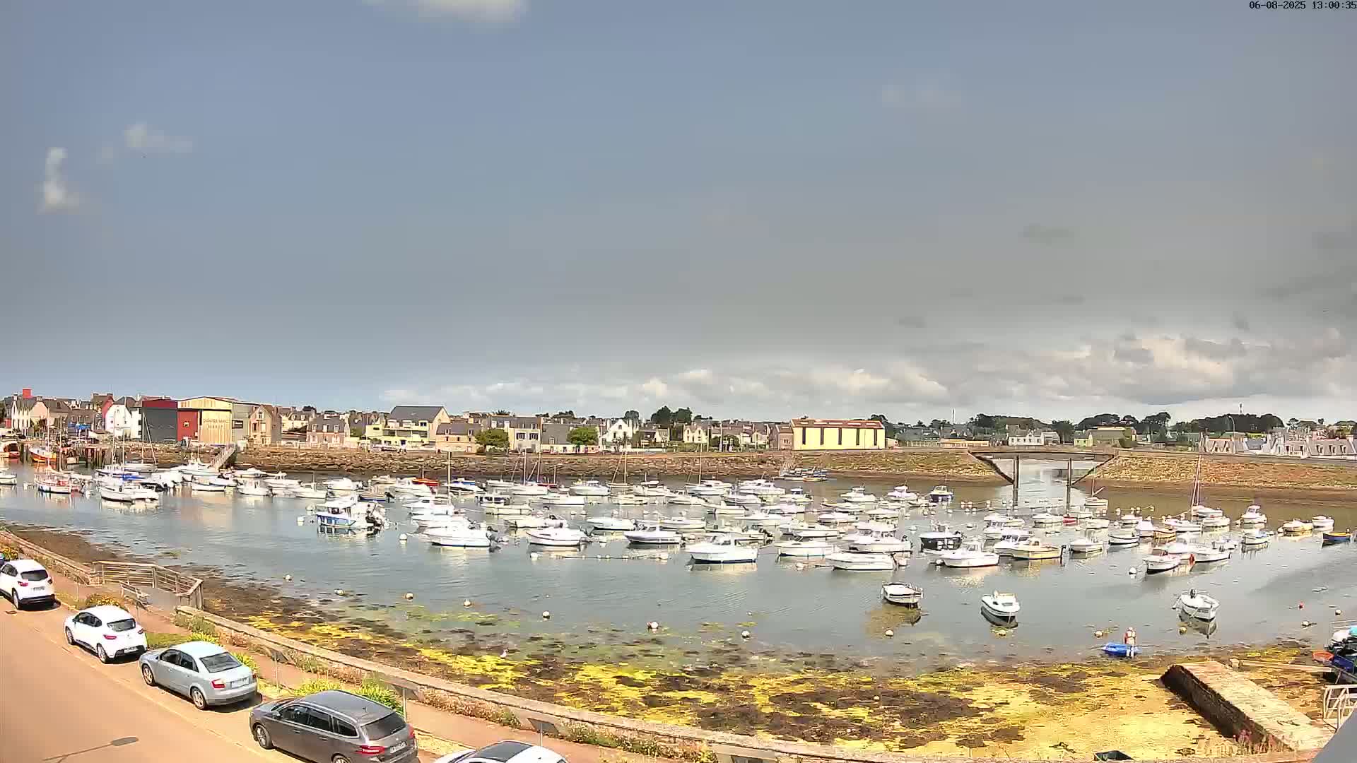 A calm harbor filled with numerous small white boats is situated near a town under a partly cloudy sky.