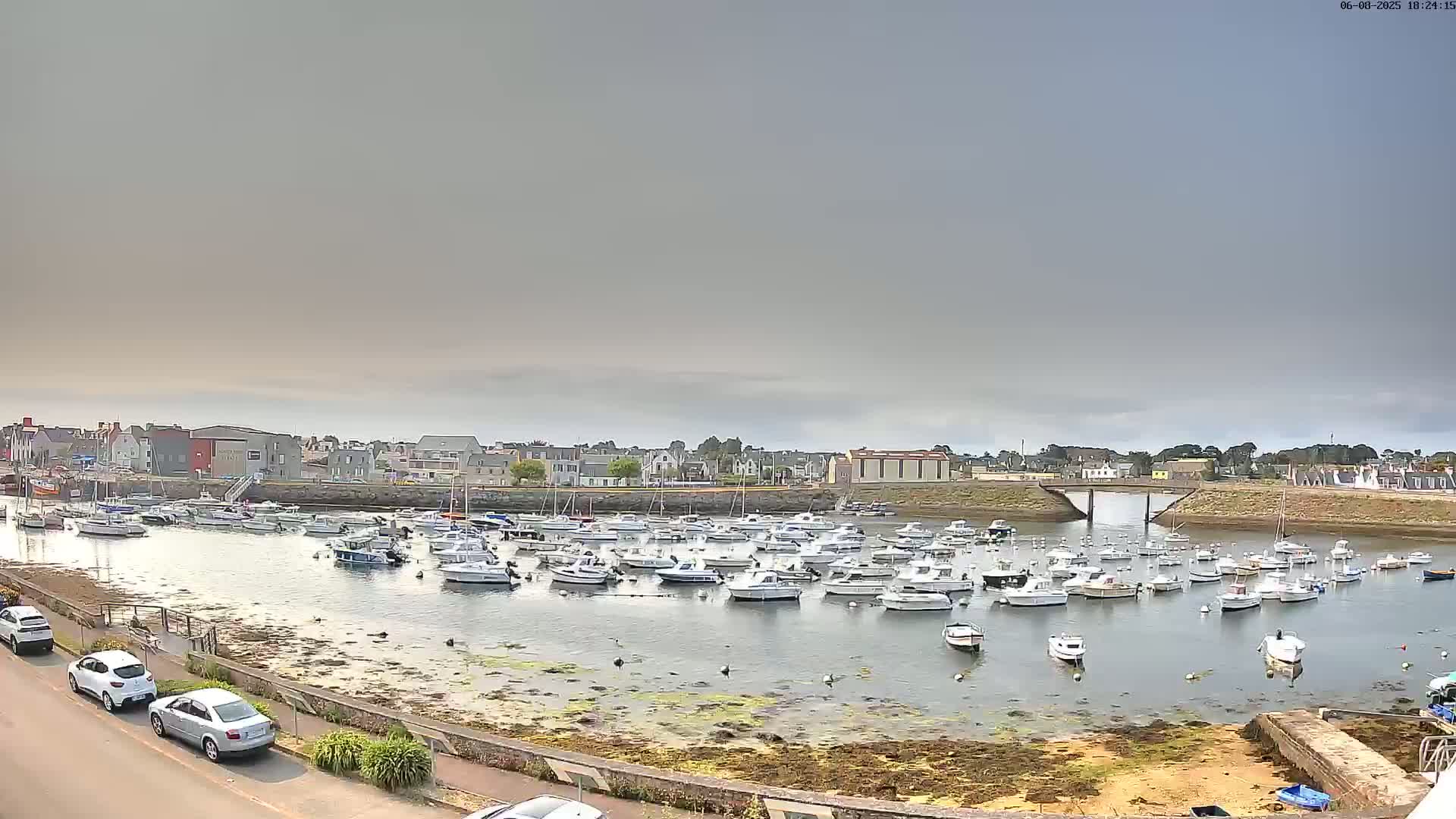 A harbor filled with numerous small boats is situated in front of a town under an overcast sky.