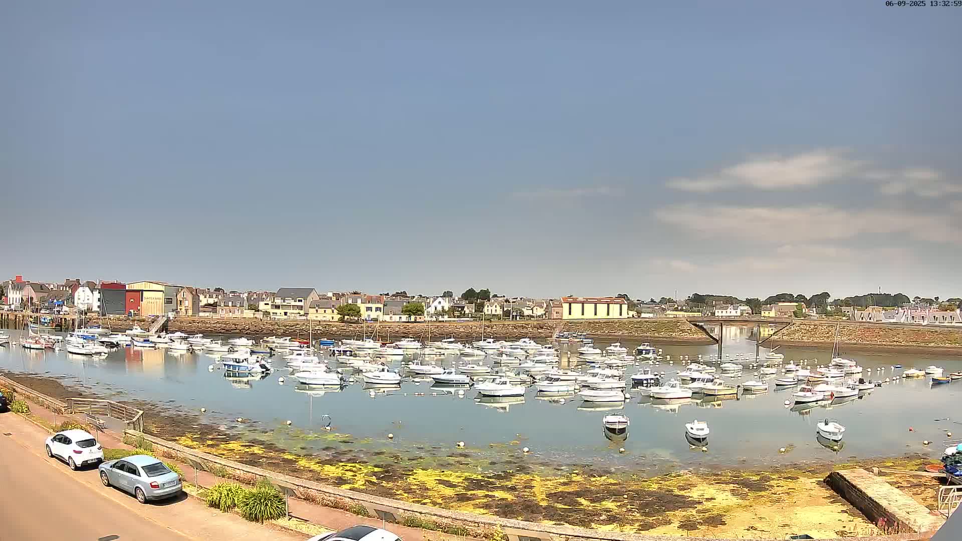 A calm harbor filled with numerous small boats is situated in front of a town under a mostly clear sky.