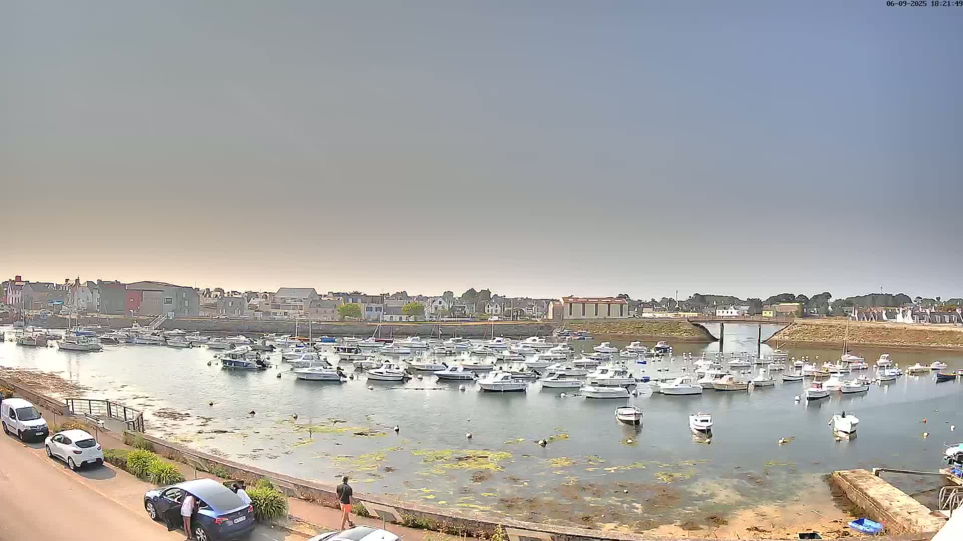 A harbor filled with numerous small boats is situated near a town under a clear, light-blue sky.