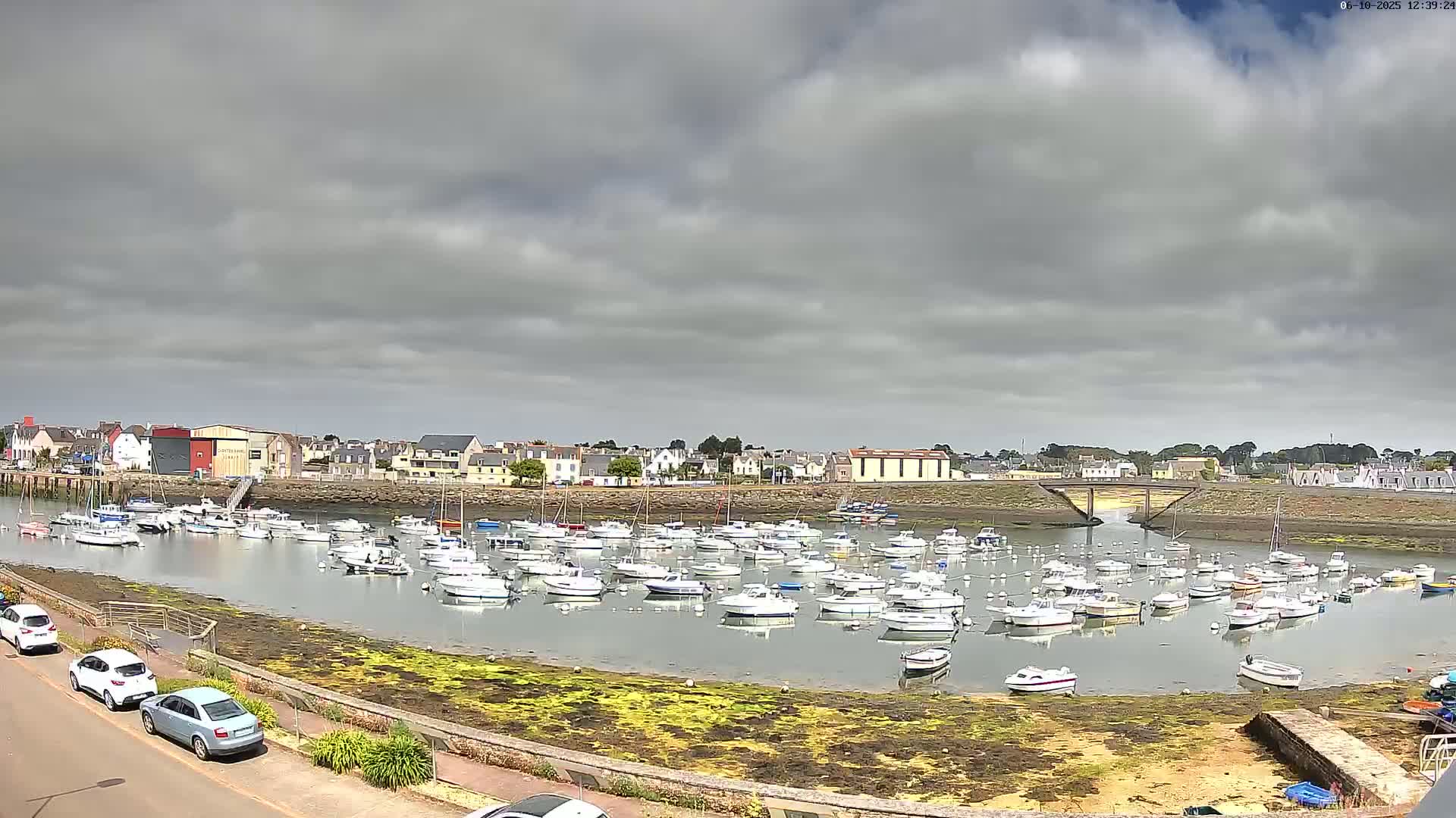 Many small boats are moored in a calm harbor under a cloudy sky, with a town visible in the background.