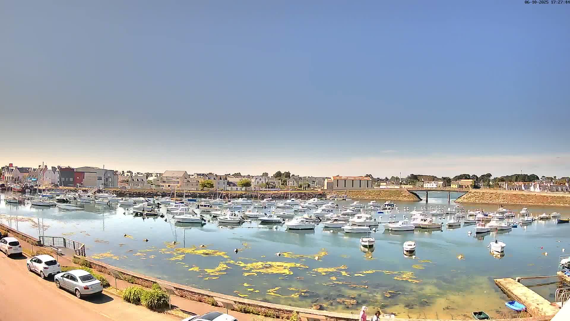 A calm harbor filled with numerous white boats under a clear blue sky is surrounded by a town.