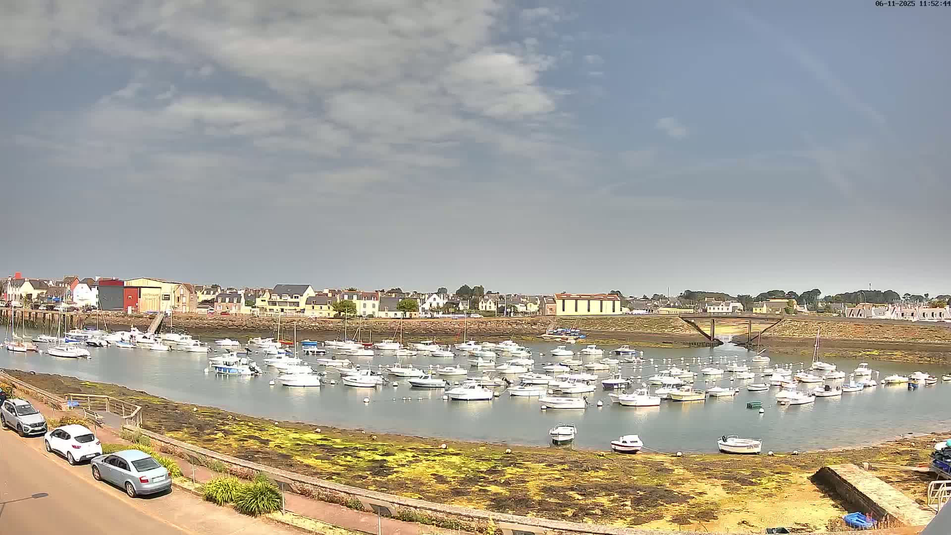 A calm harbor filled with numerous small boats is situated in front of a town under a partly cloudy sky.