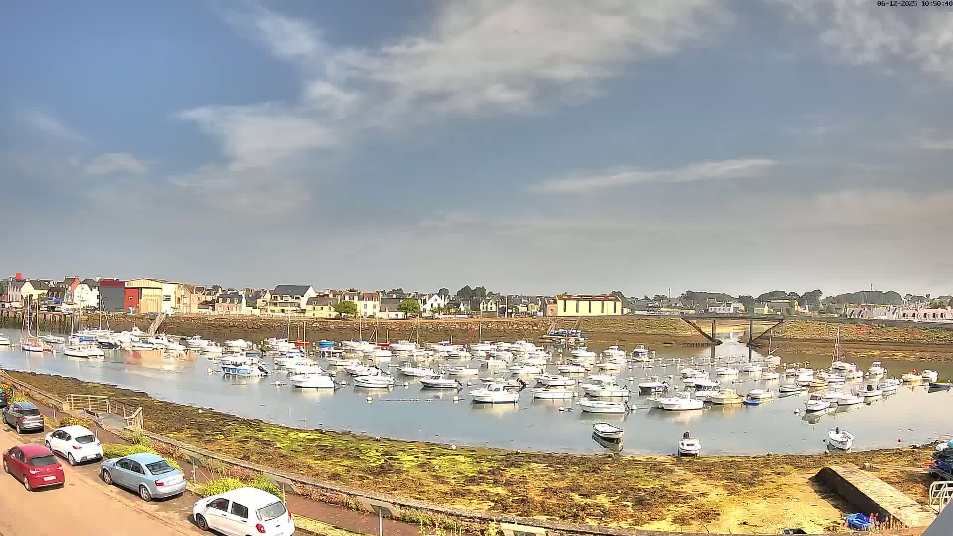 A harbor filled with numerous small white boats is situated next to a town under a partly cloudy sky.