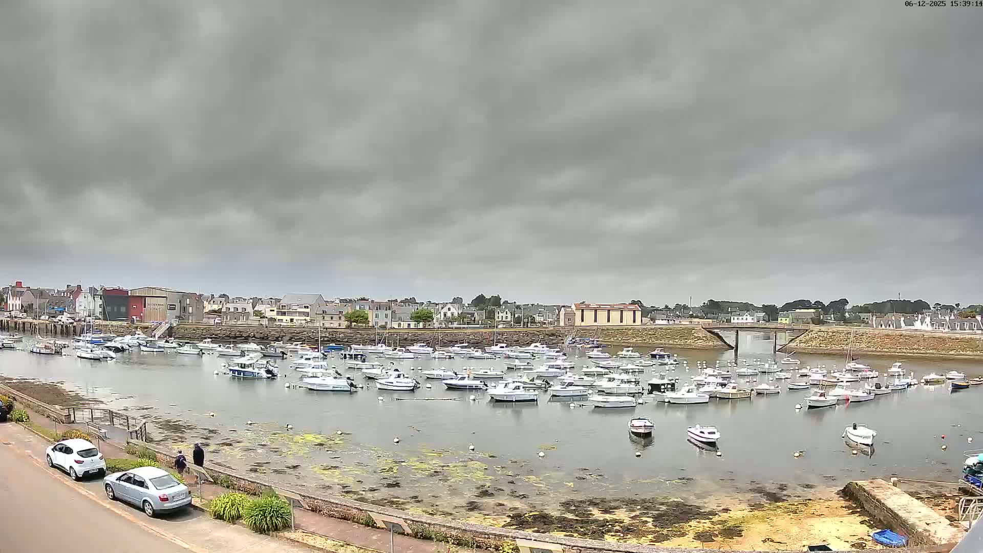 A harbor filled with numerous small boats is situated under an overcast sky, with a small town visible in the background.
