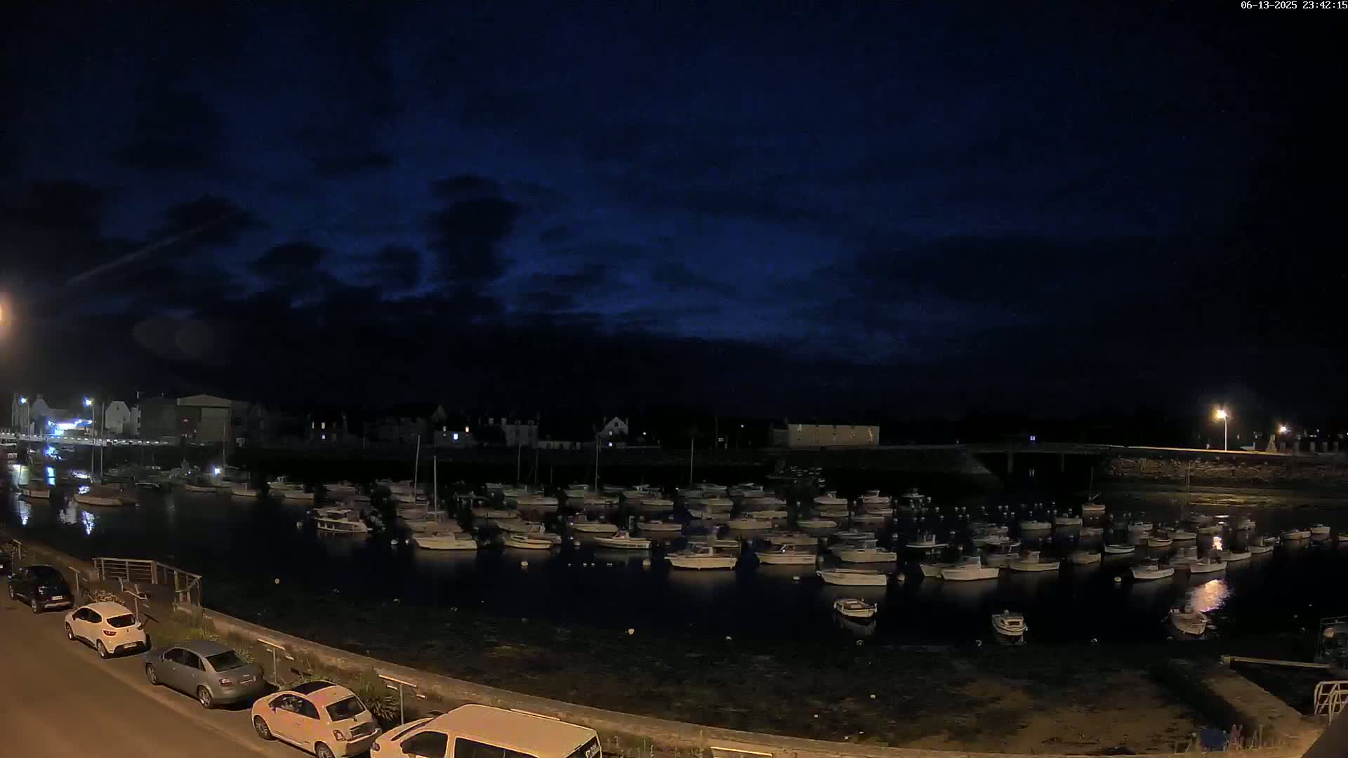 Many small boats are moored in a harbor at night under a dark, cloudy sky.