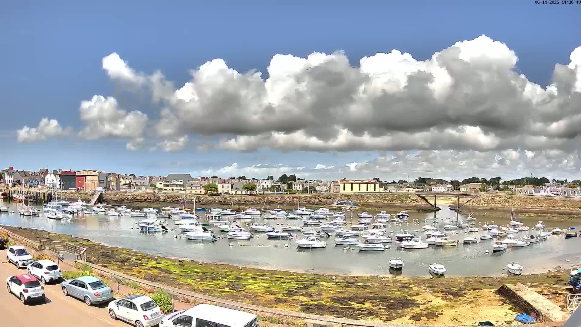 A harbor filled with numerous small boats is nestled next to a town under a partly cloudy sky.