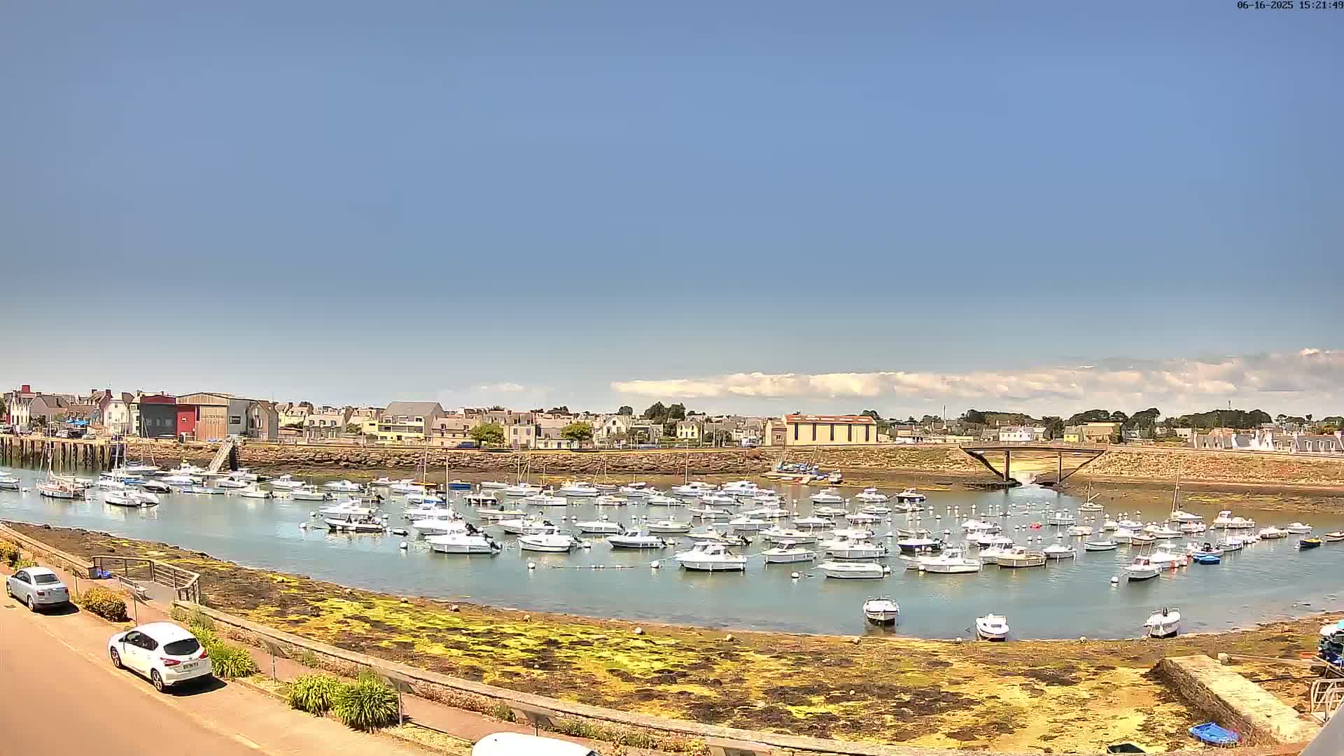 A sunny day reveals a harbor filled with numerous small boats, nestled beside a town with low-rise buildings.