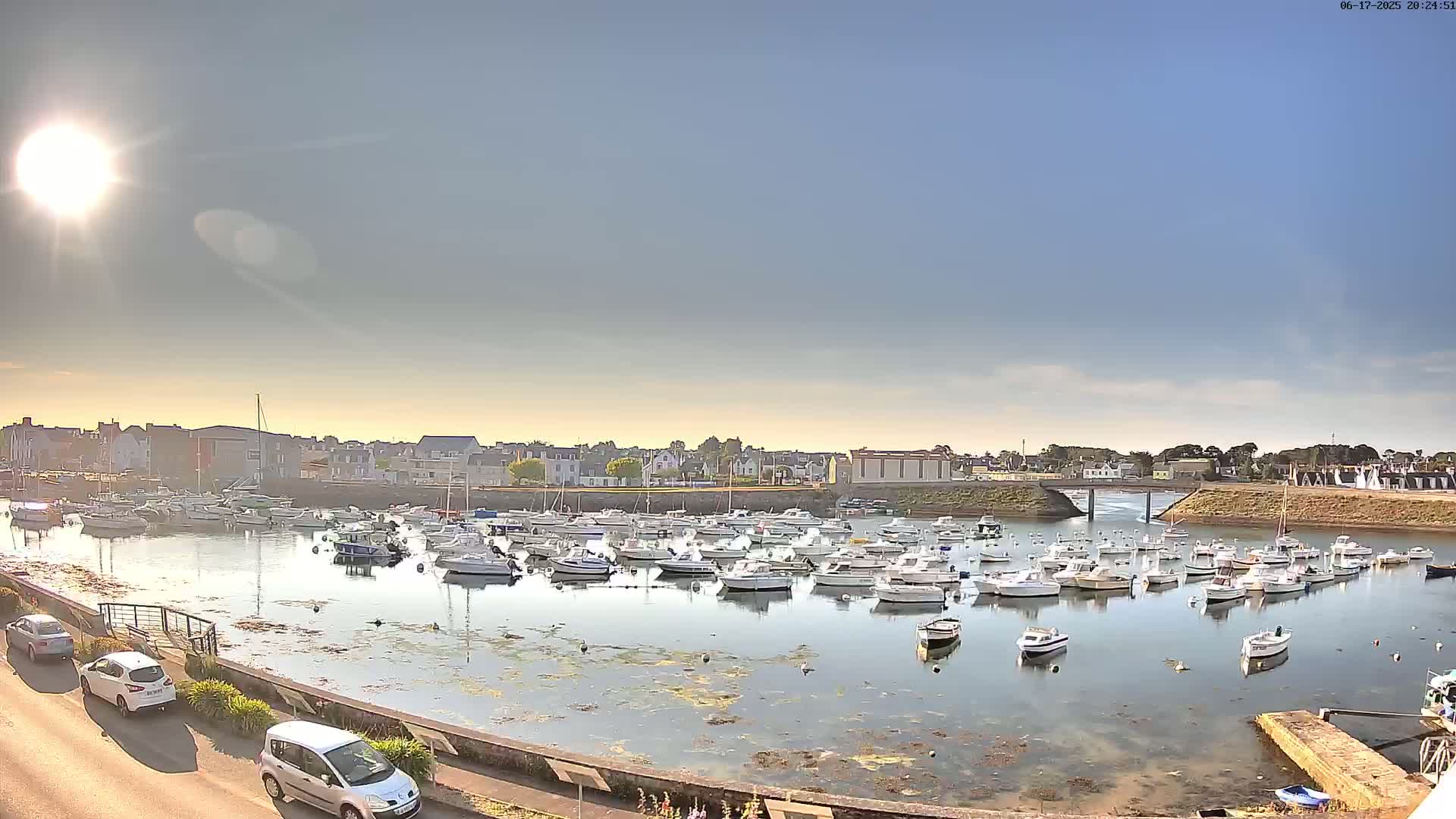 A harbor filled with numerous small boats is seen under a bright, sunny sky, with a town visible in the background.