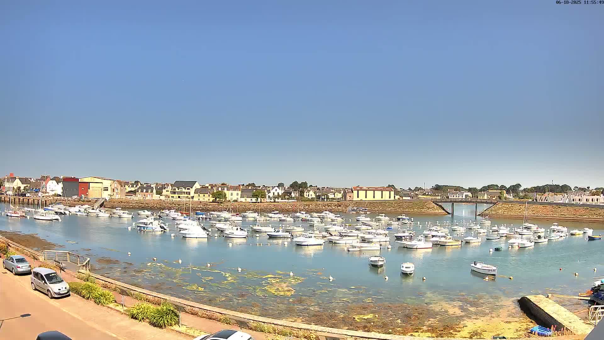 A calm harbor filled with numerous small white boats is nestled next to a town under a clear blue sky.