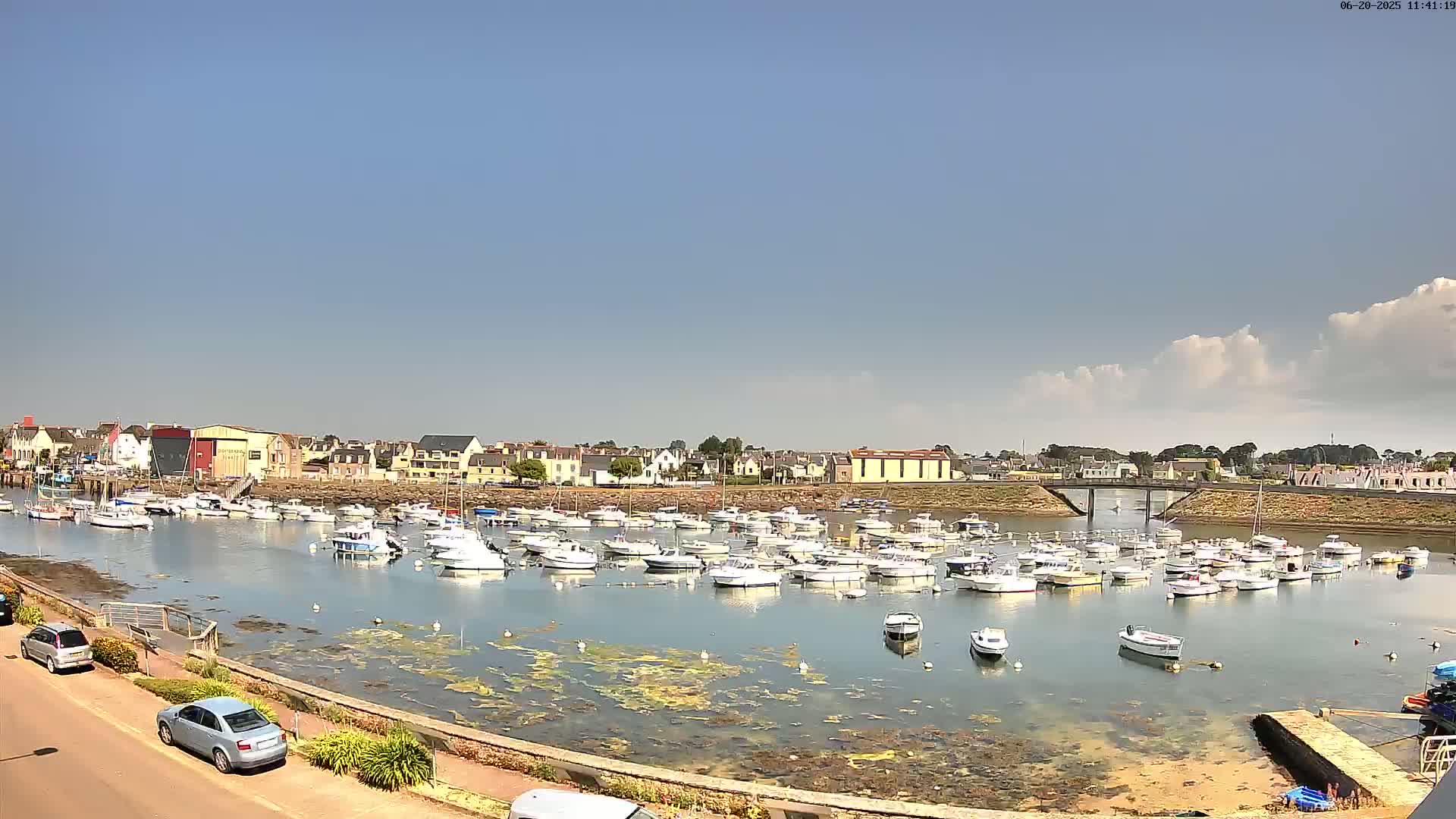 A marina filled with numerous small white boats sits in calm water under a mostly clear blue sky with a few scattered clouds, backed by a waterfront town.