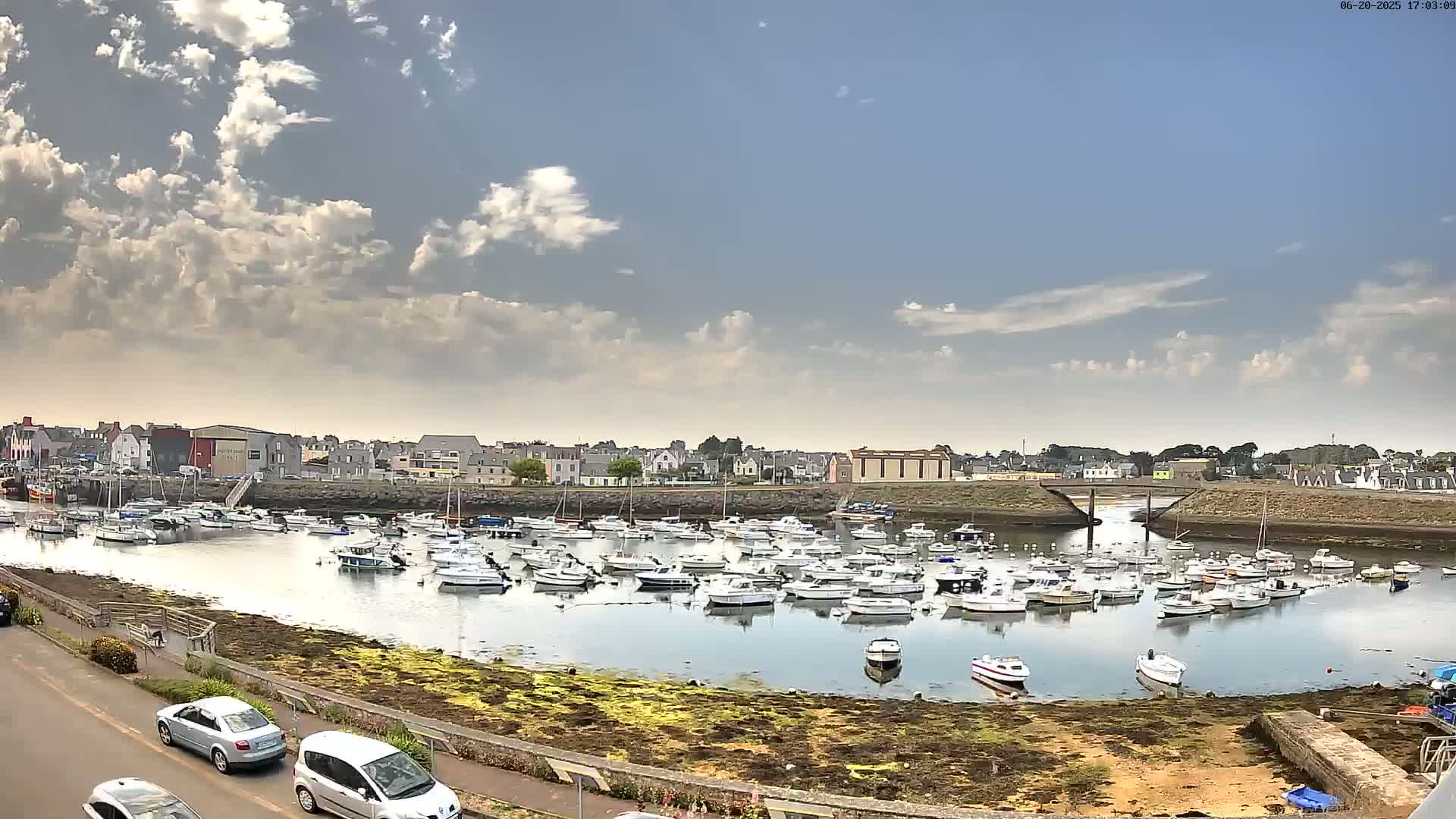 A calm harbor filled with numerous small boats is situated next to a town under a partly cloudy sky.