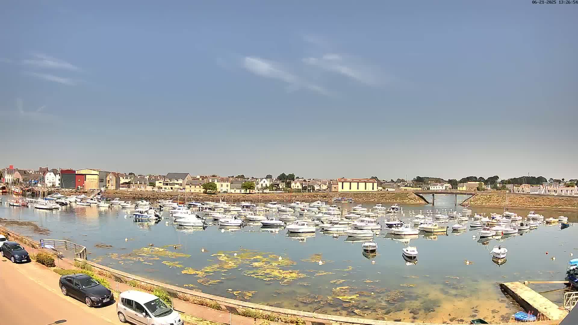 Under a clear blue sky, a harbor filled with numerous small white boats is surrounded by a town with low buildings.