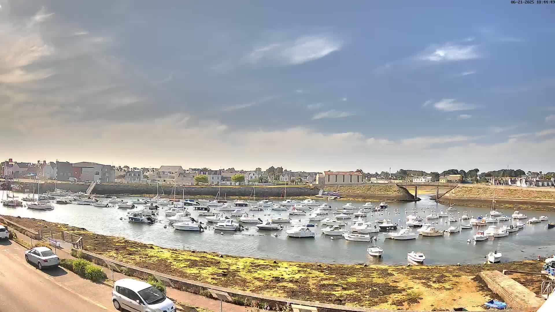 A harbor filled with numerous small white boats is situated near a town under a partly cloudy sky.