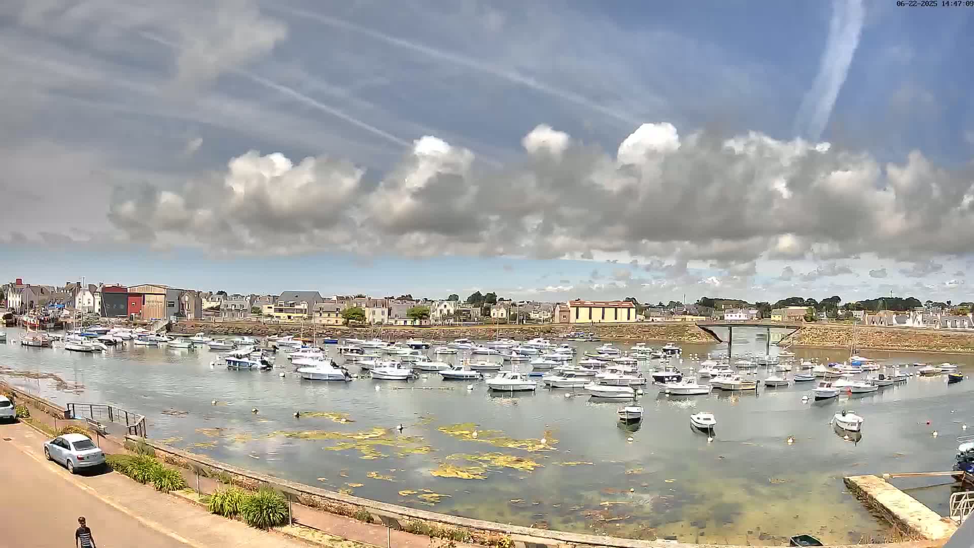 A harbor filled with numerous small boats is situated in front of a town under a partly cloudy sky.