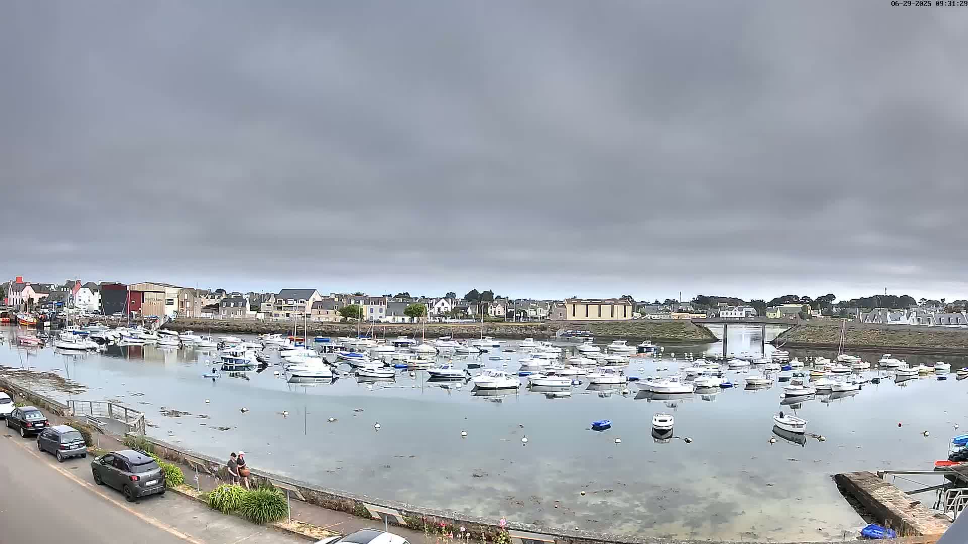 Many boats are docked in a calm harbor under an overcast sky, with a small town visible in the background.