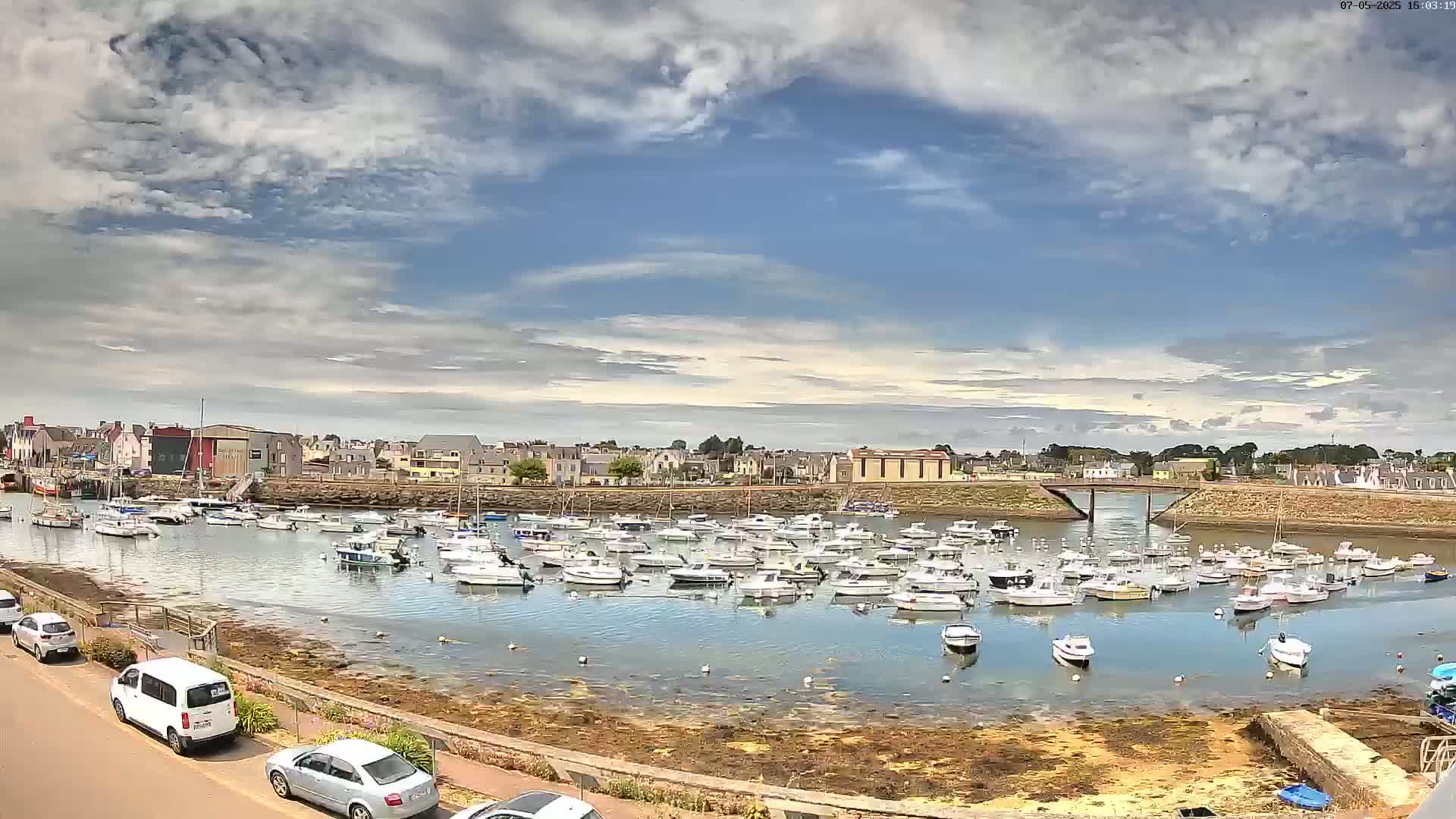 A harbor filled with numerous small boats is situated under a partly cloudy sky, with a town visible in the background.