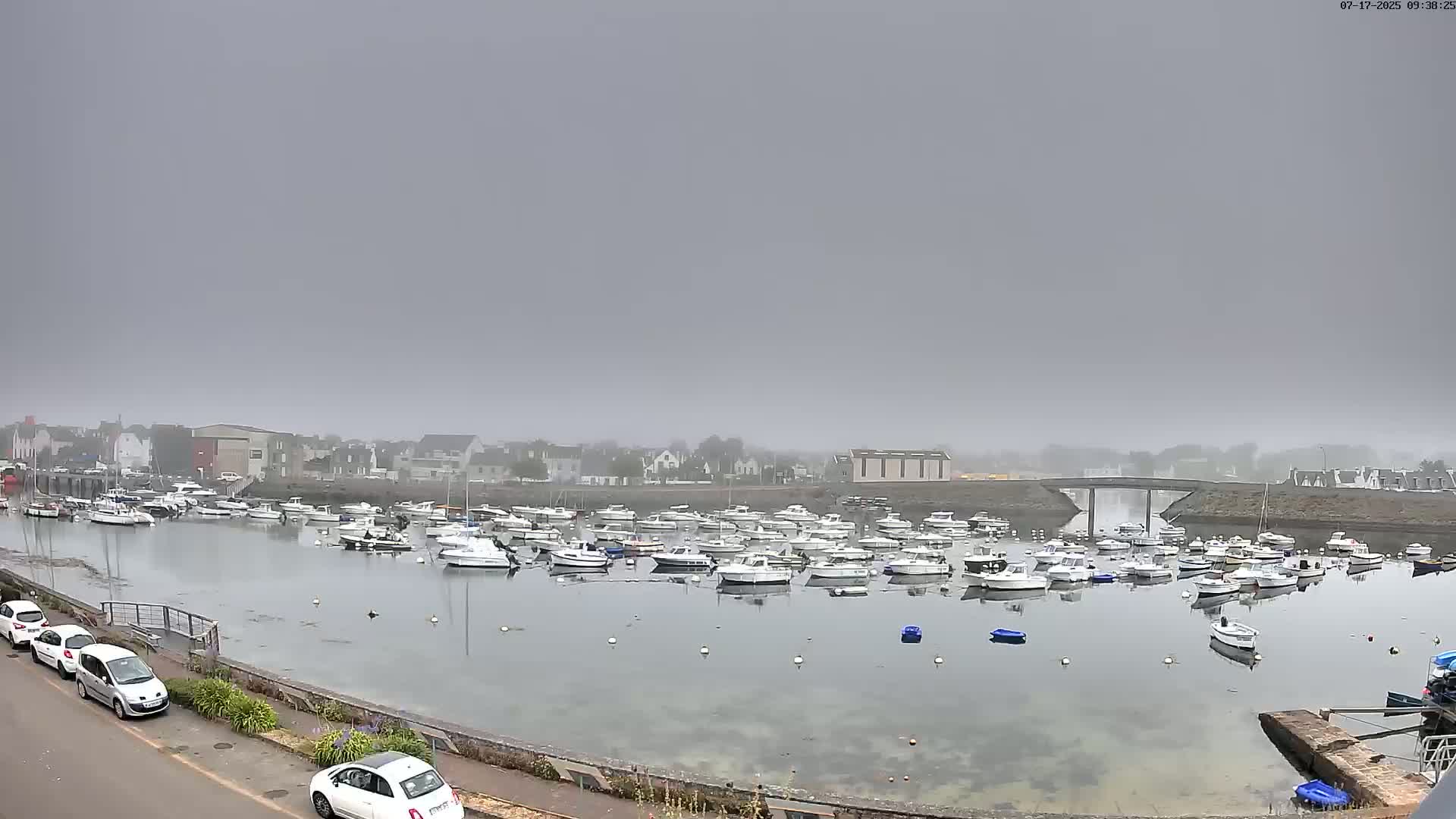 A foggy harbor filled with numerous small white boats is seen from a slightly elevated vantage point, with a few cars parked along a road in the foreground.