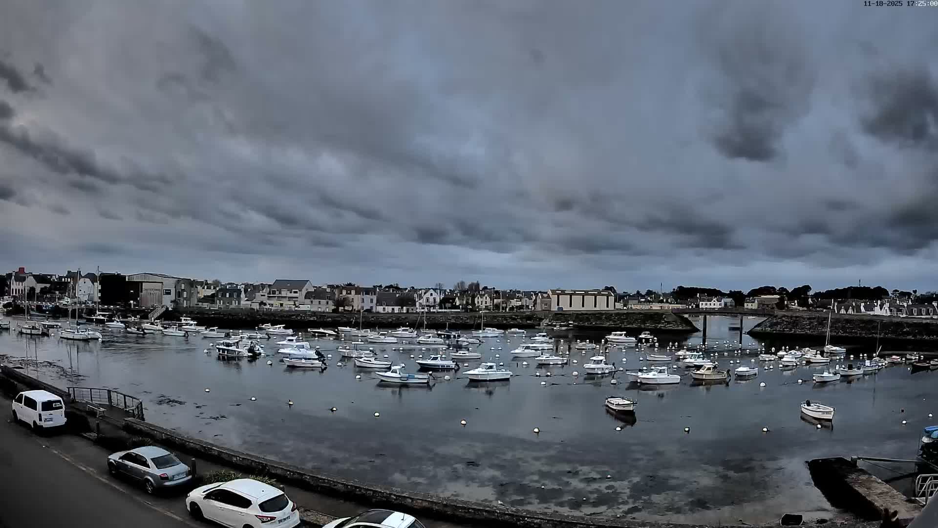 A foggy harbor filled with numerous small white boats is seen from a slightly elevated vantage point, with a few cars parked along a road in the foreground.