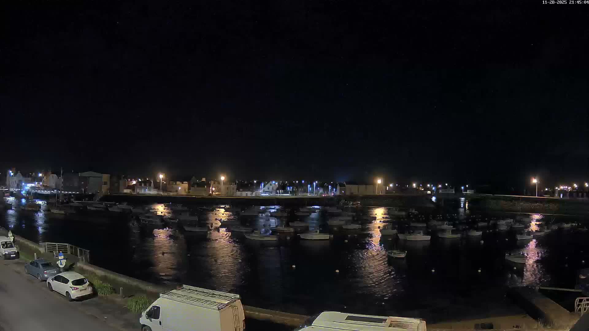 A clear, dark night illuminates a harbor filled with numerous boats reflecting city lights, with buildings and parked cars lining the shore.