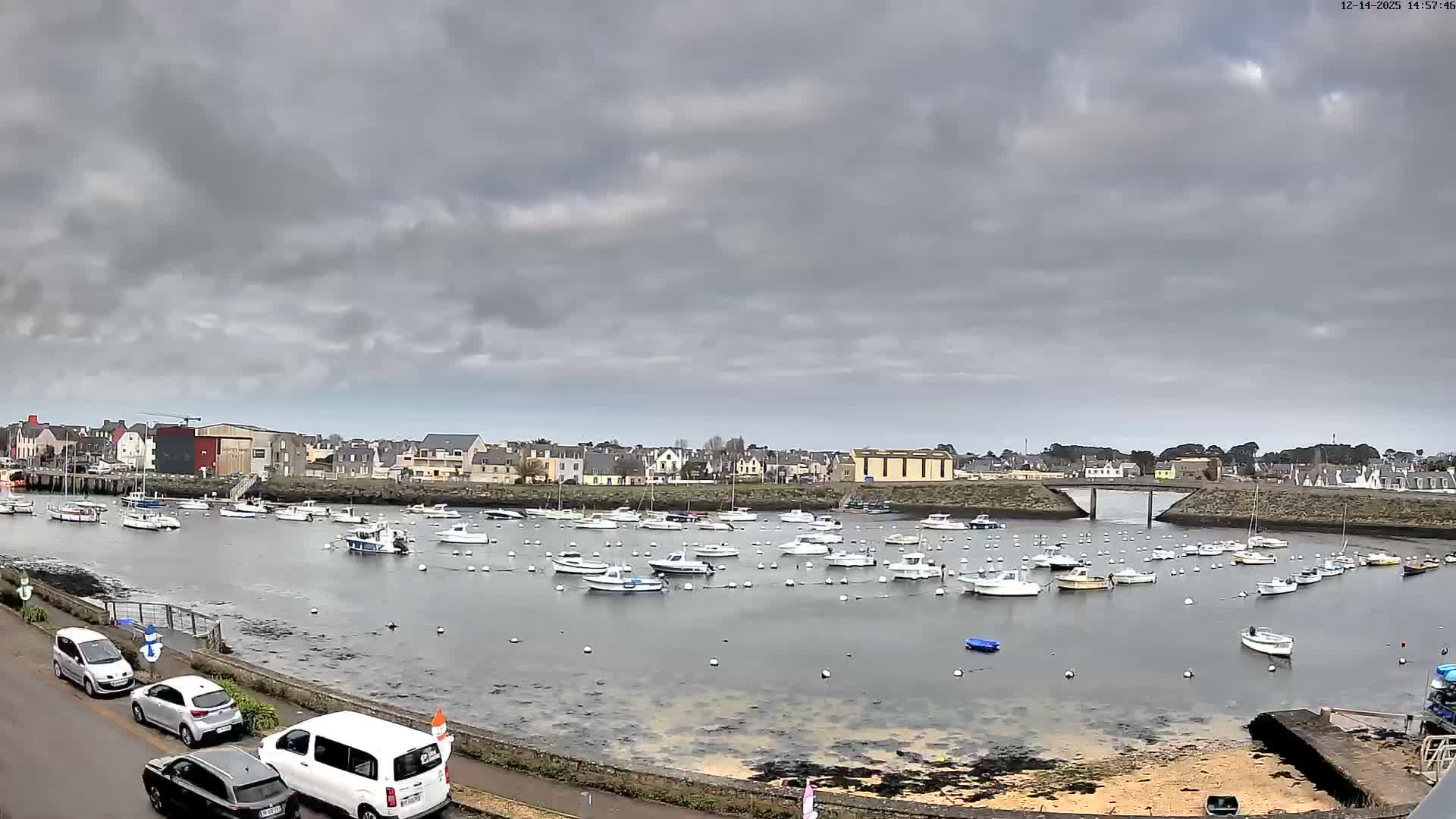 Numerous small boats dot a calm harbor reflecting a mostly clear blue sky with scattered, warm-hued clouds, flanked by a town with buildings and a roadside with parked vehicles under morning light.