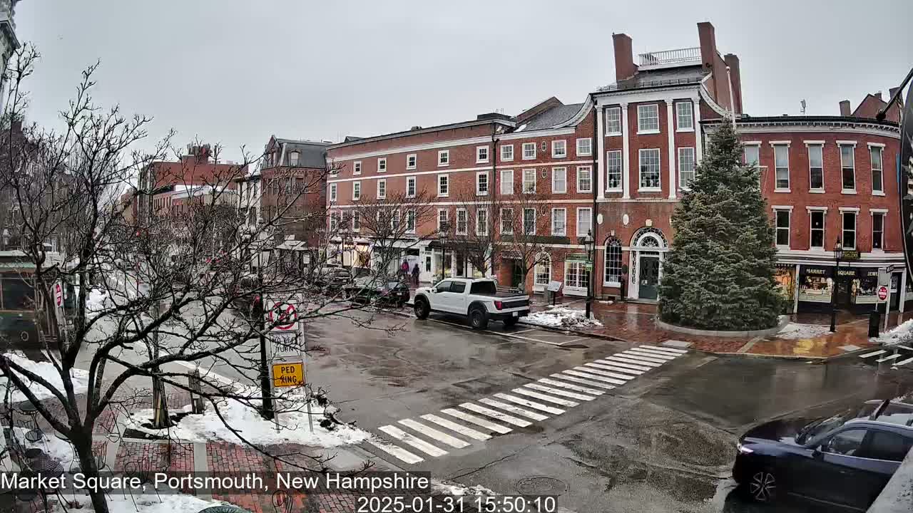 A wet, overcast day in a city square with brick buildings, sparse trees, and a few cars parked and driving.