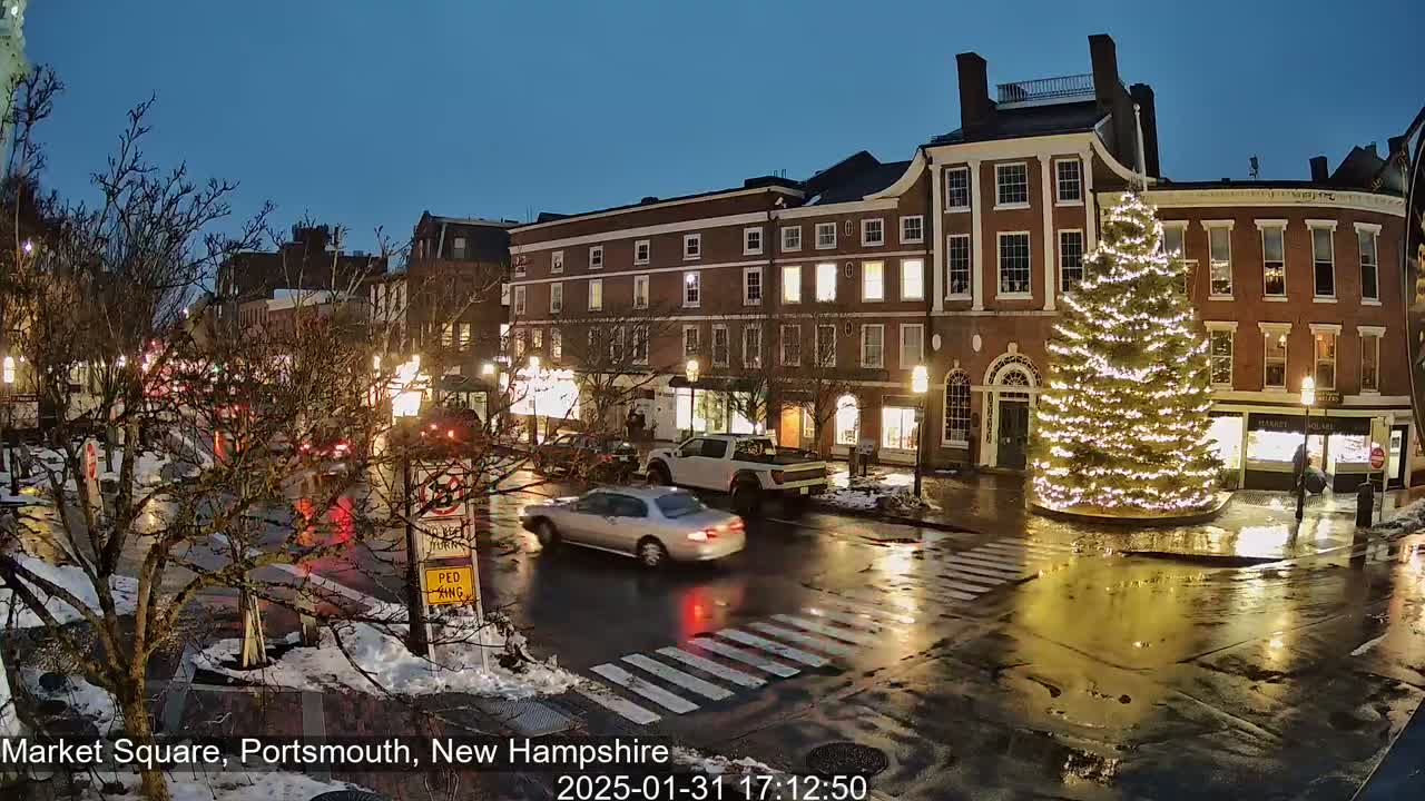 A brightly lit, large Christmas tree stands in a wet, city square at night, surrounded by brick buildings, cars, and pedestrians.