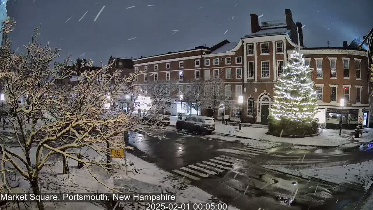 Snow falls at night on a snow-covered town square with a large illuminated Christmas tree in front of brick buildings.